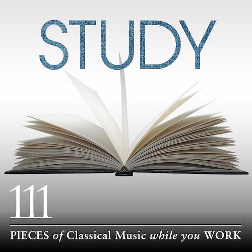 Постер альбома Study: 111 Pieces Of Classical Music While You Work
