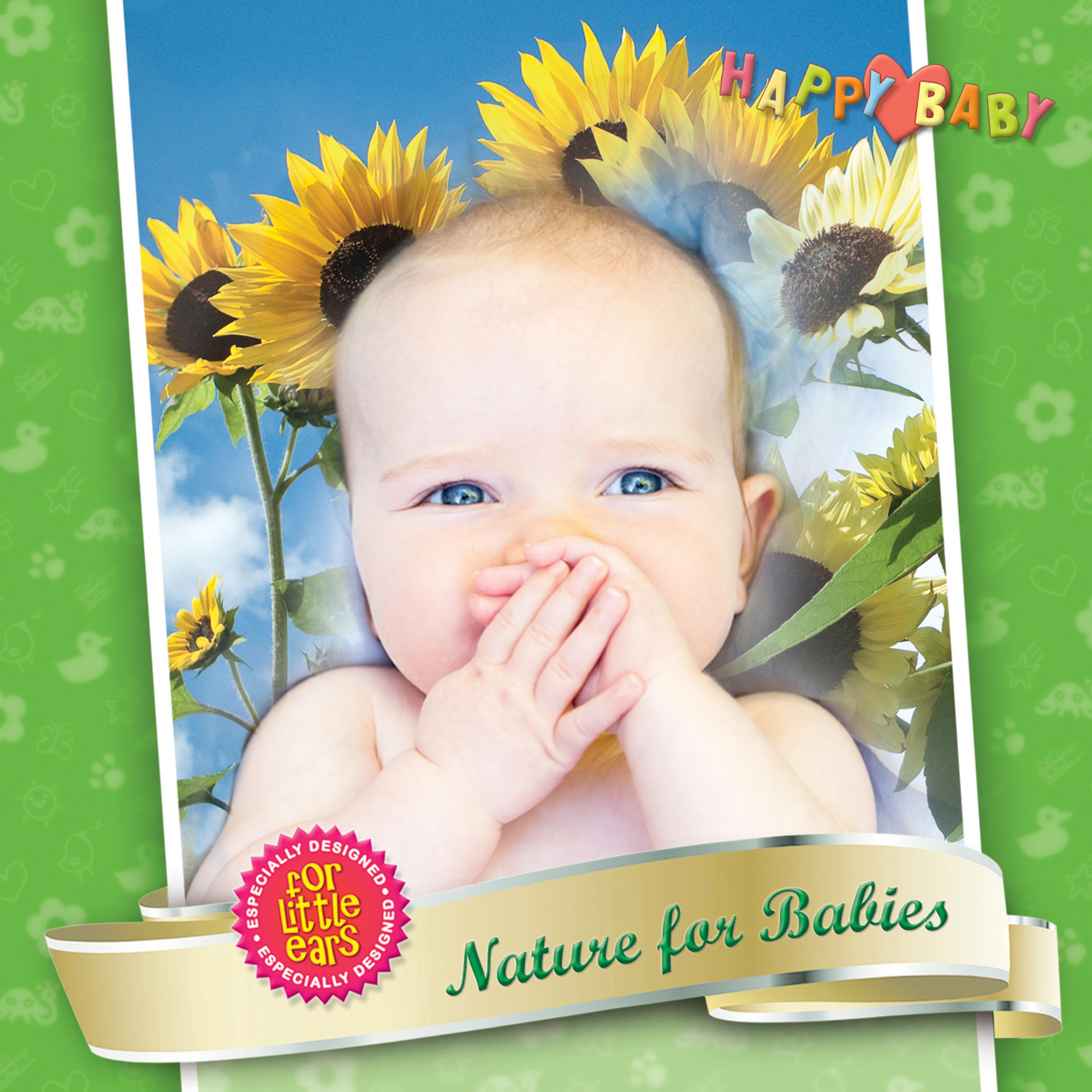 Постер альбома Nature for Babies