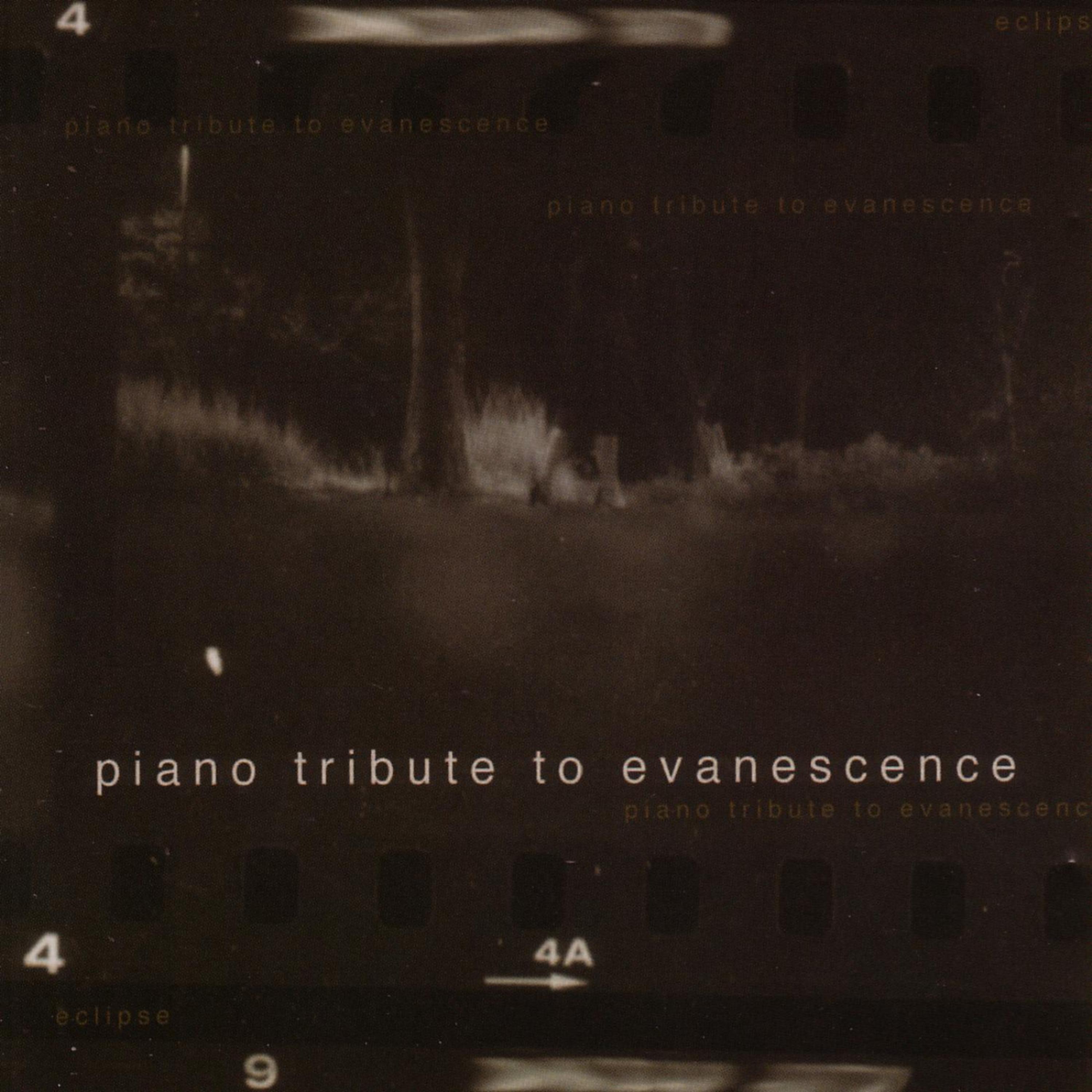 Постер альбома Eclipse - A Piano Tribute To Evanescence