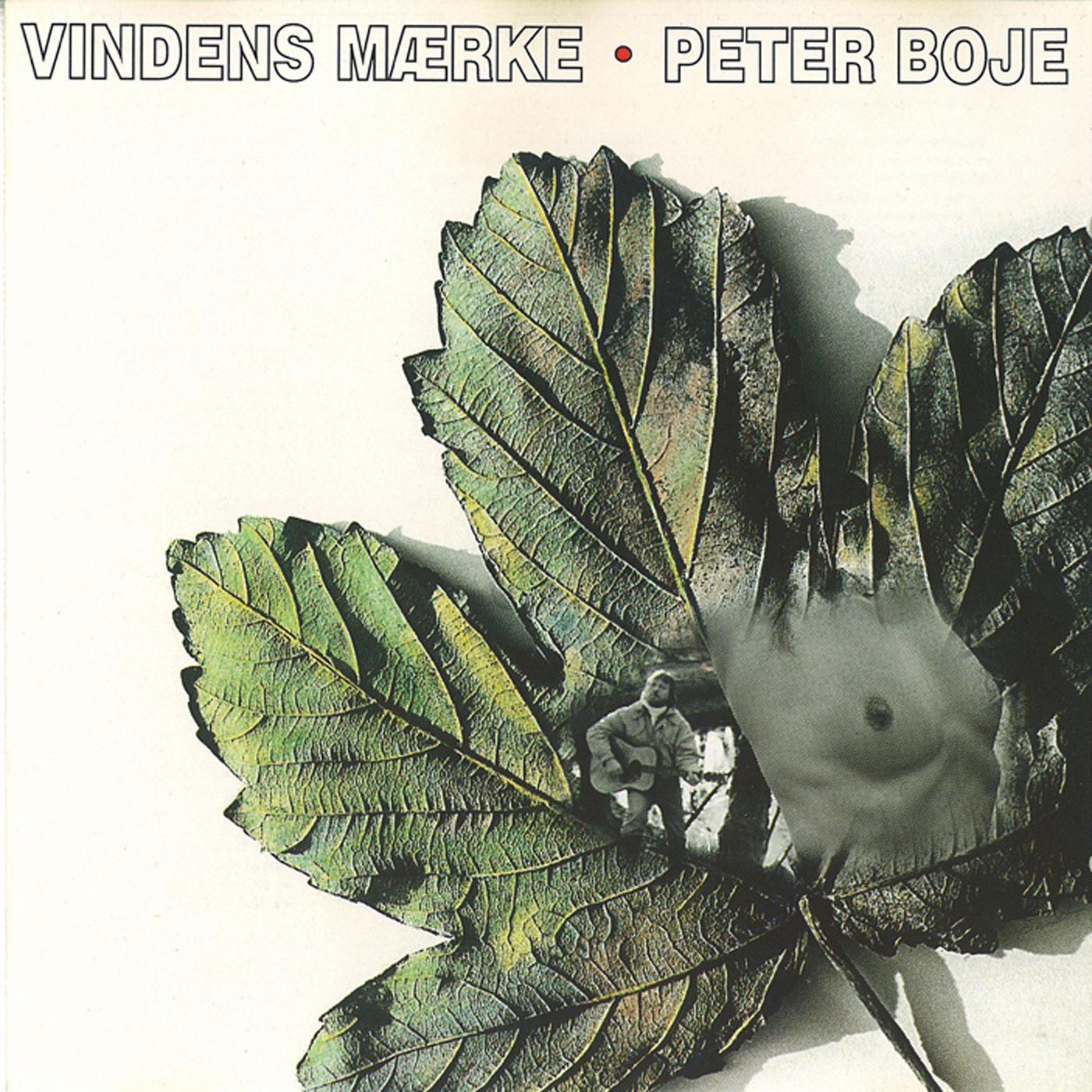 Постер альбома Vindens Mærke