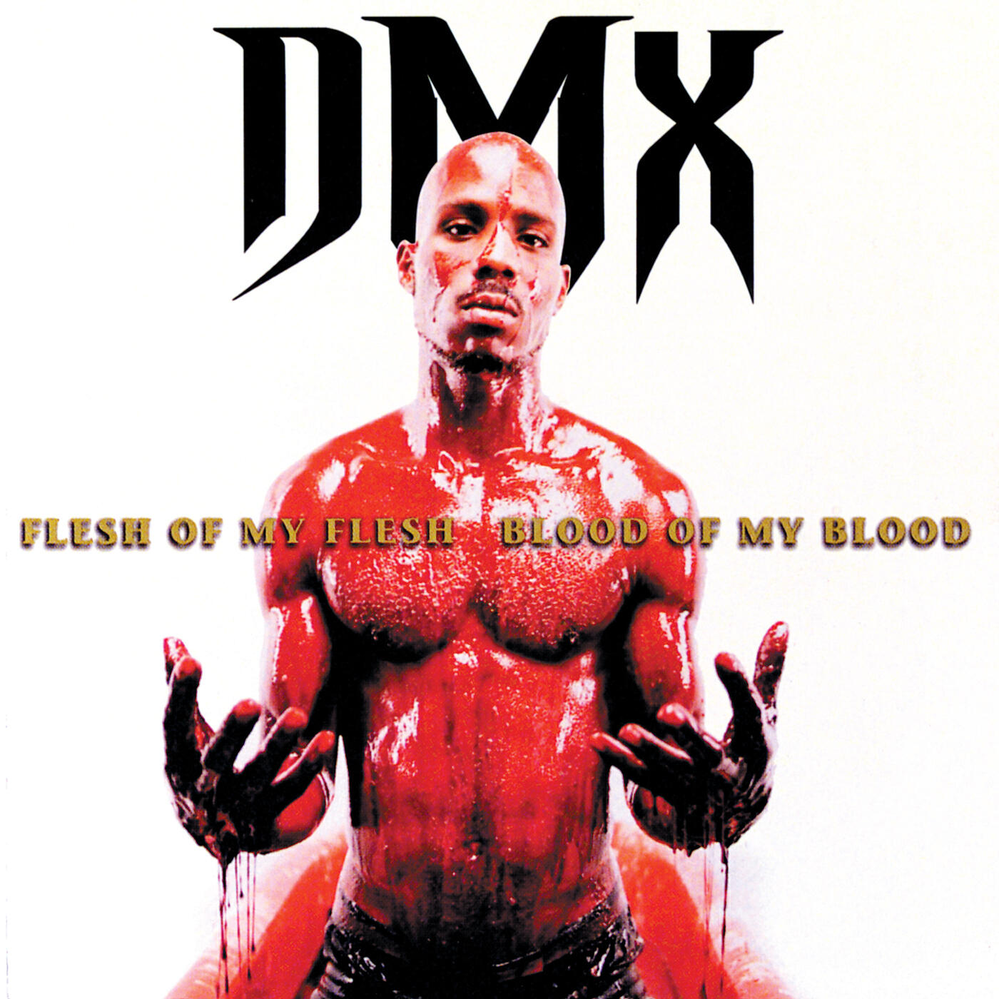 DMX - Blackout