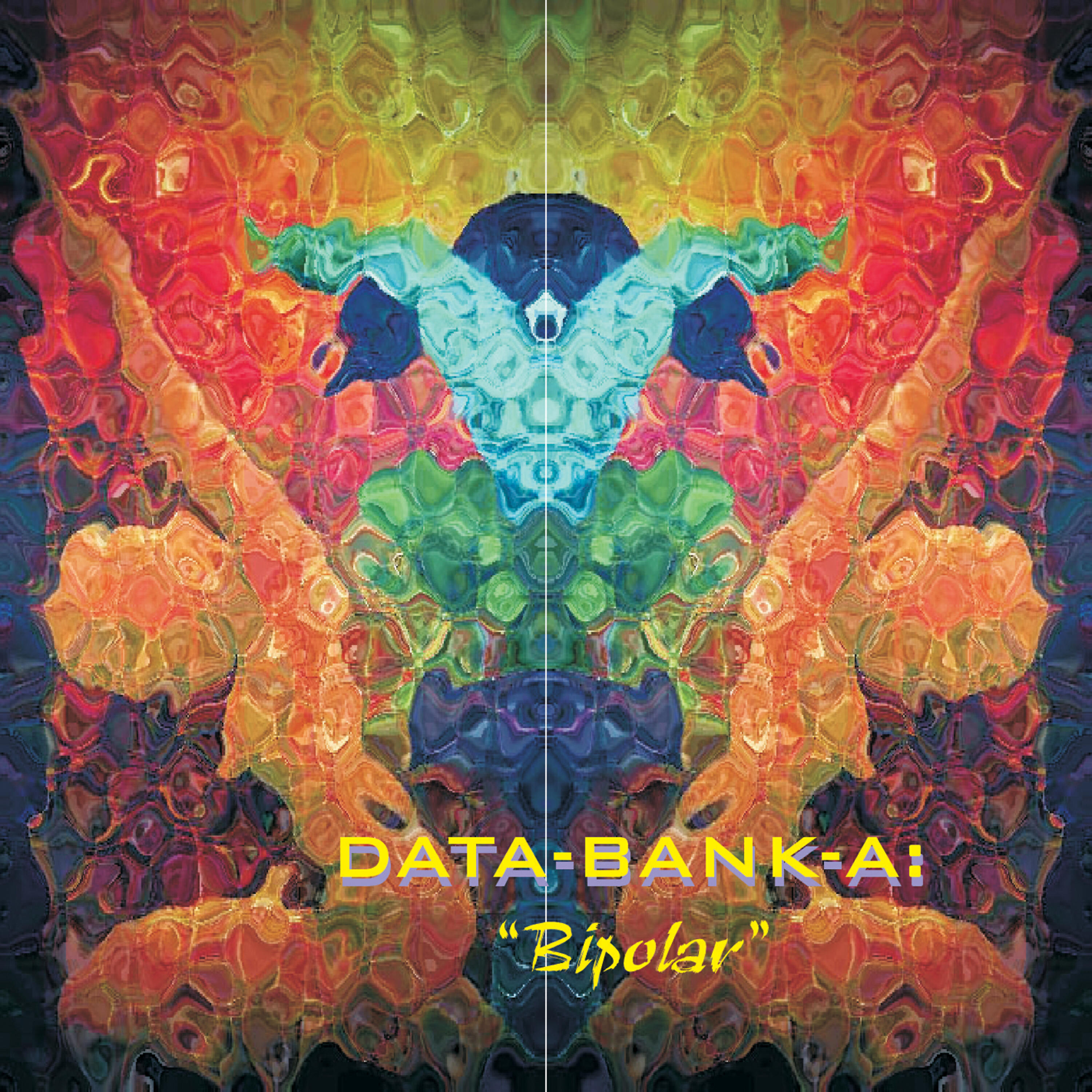 Data-Bank-A - Digital Divide