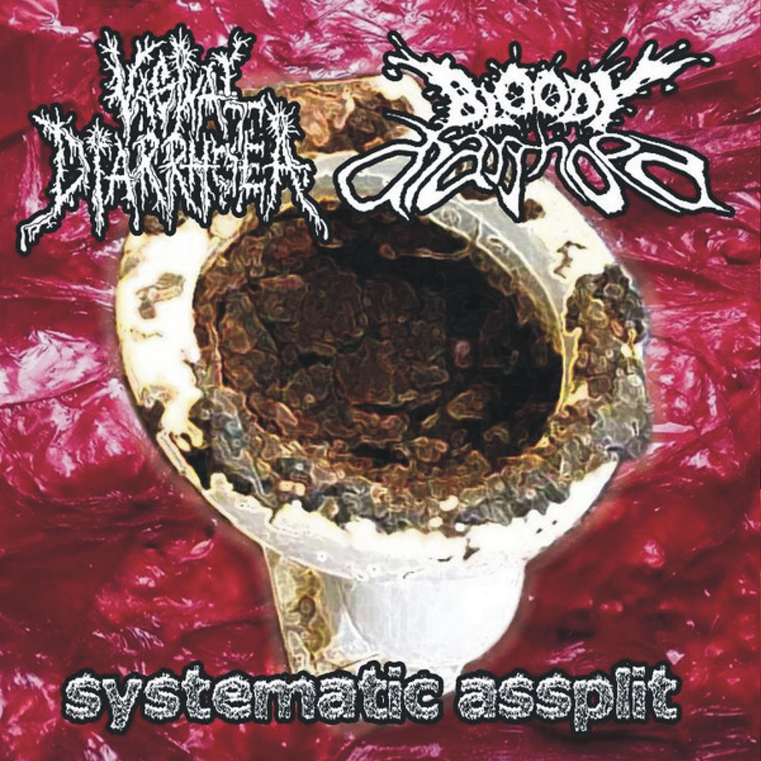 Vaginal Diarrhoea - Anatomy of Absurdity