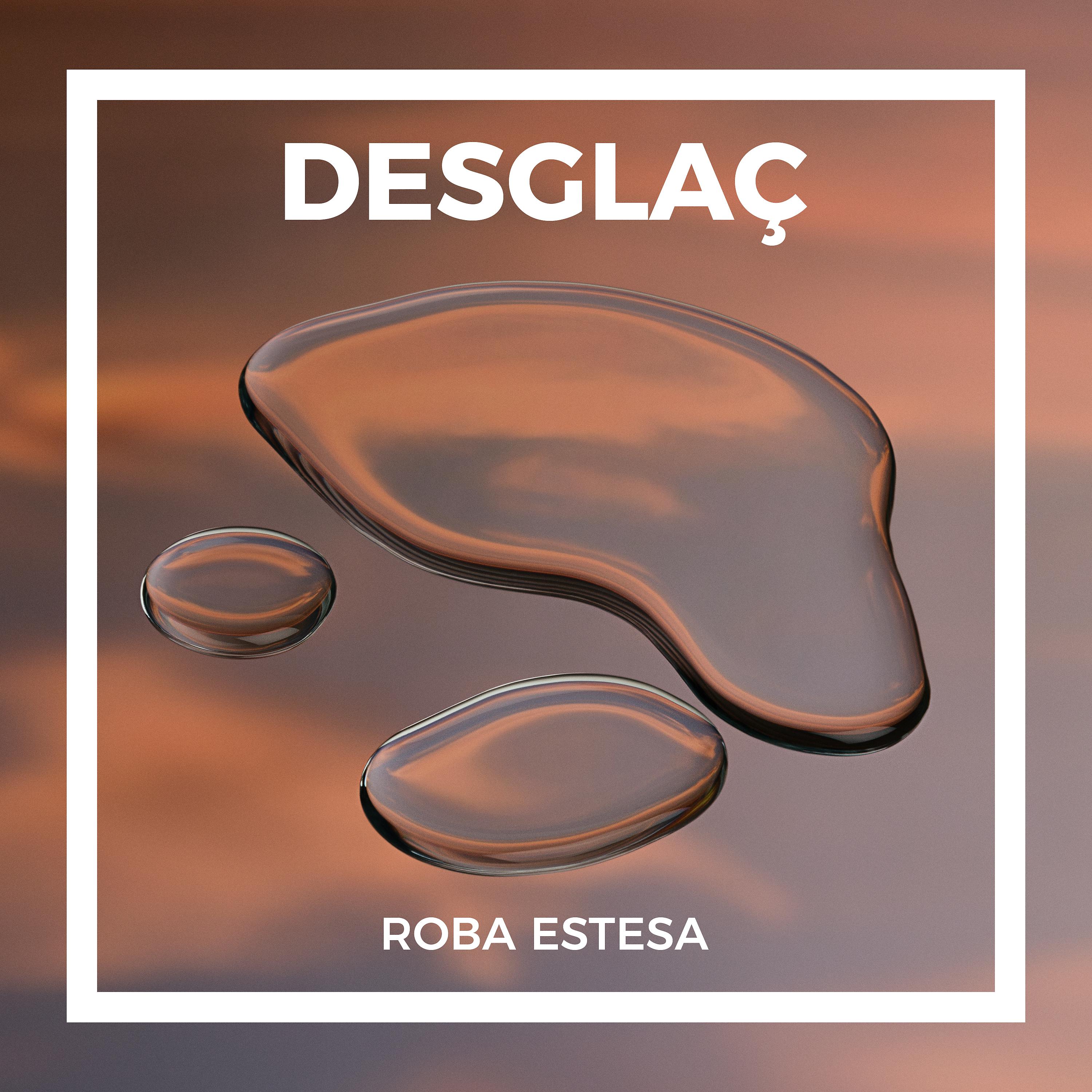 Постер альбома Desglaç