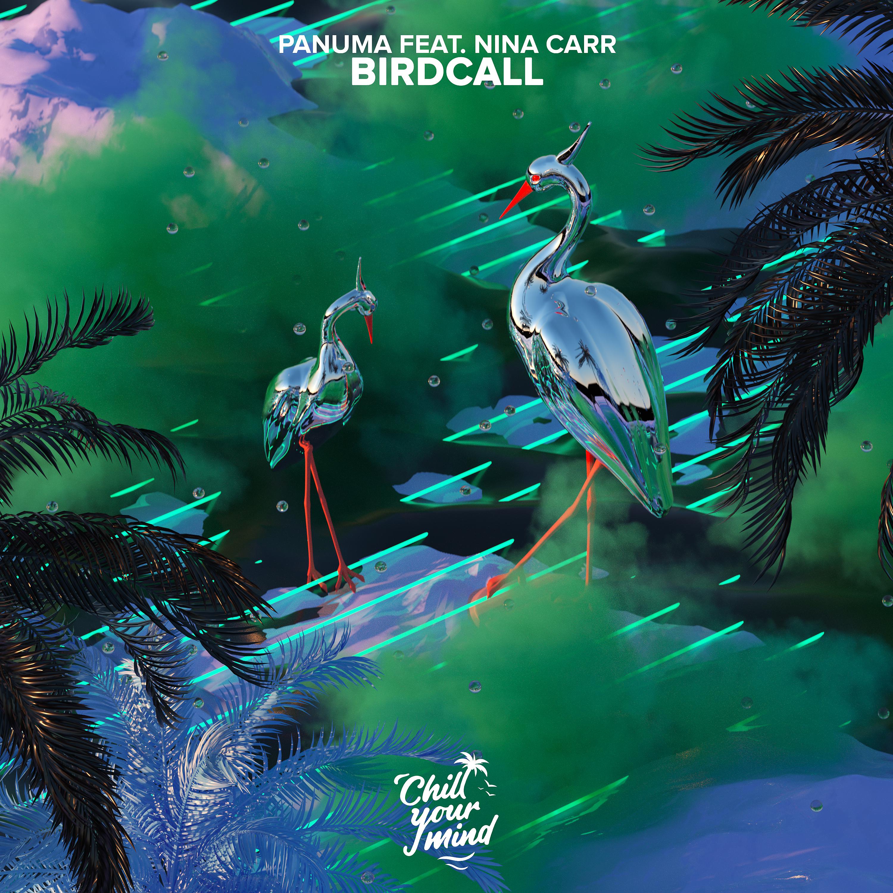 Постер альбома Birdcall