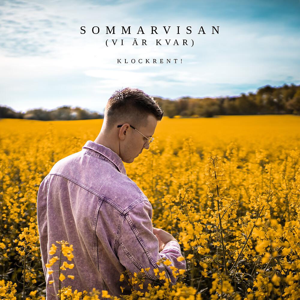 Постер альбома Sommarvisan (Vi är kvar)