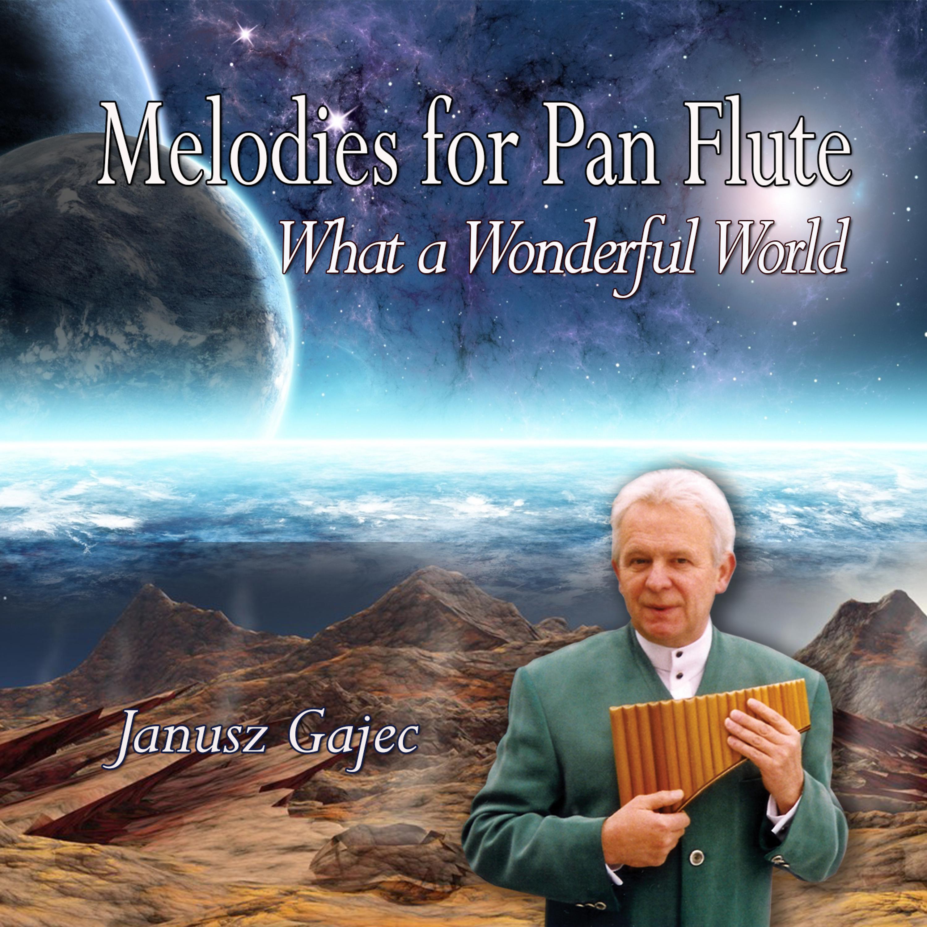 Постер альбома Melodies For Pan Flute - What a Wonderful World