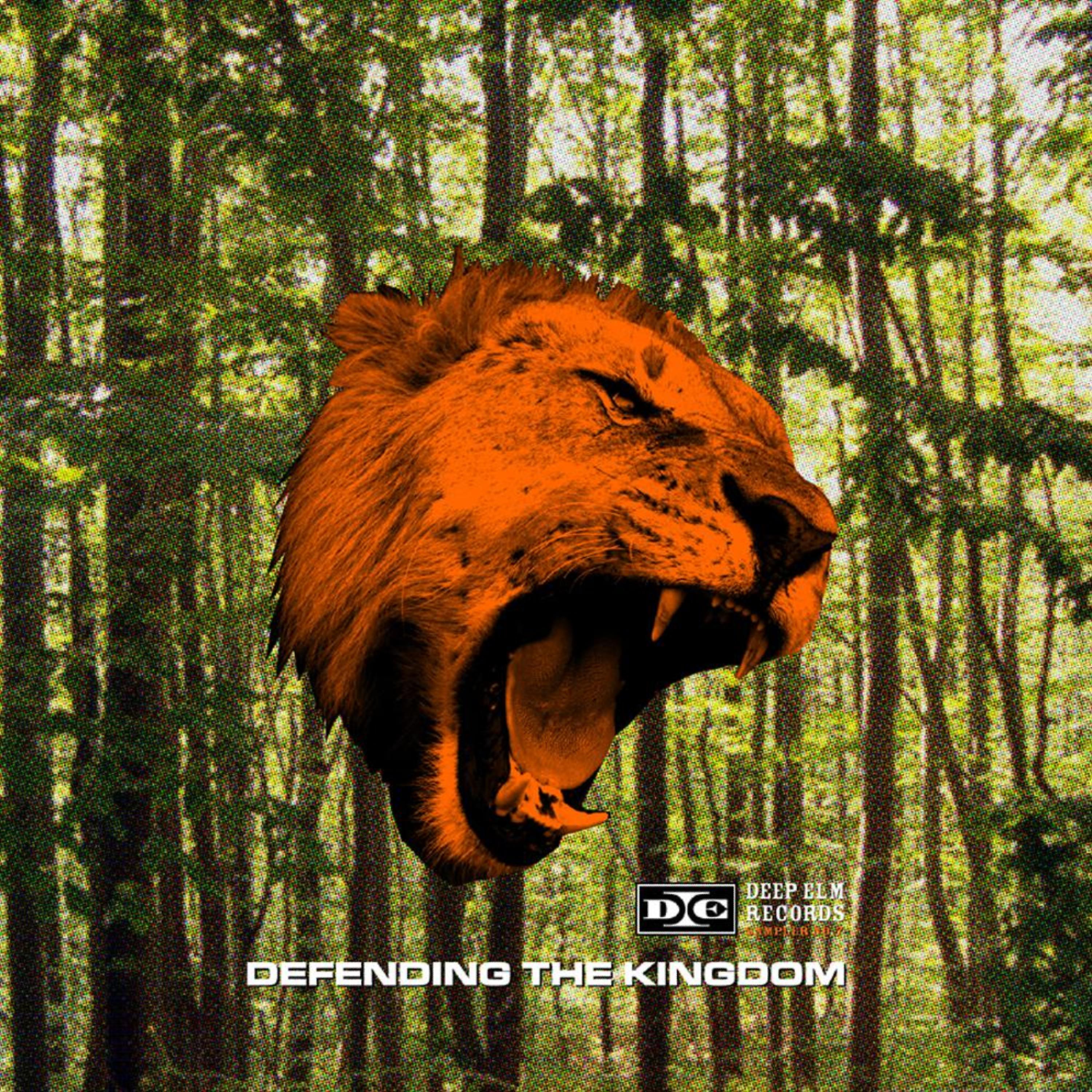 Постер альбома Deep Elm Records Sampler 7 - Defending the Kingdom