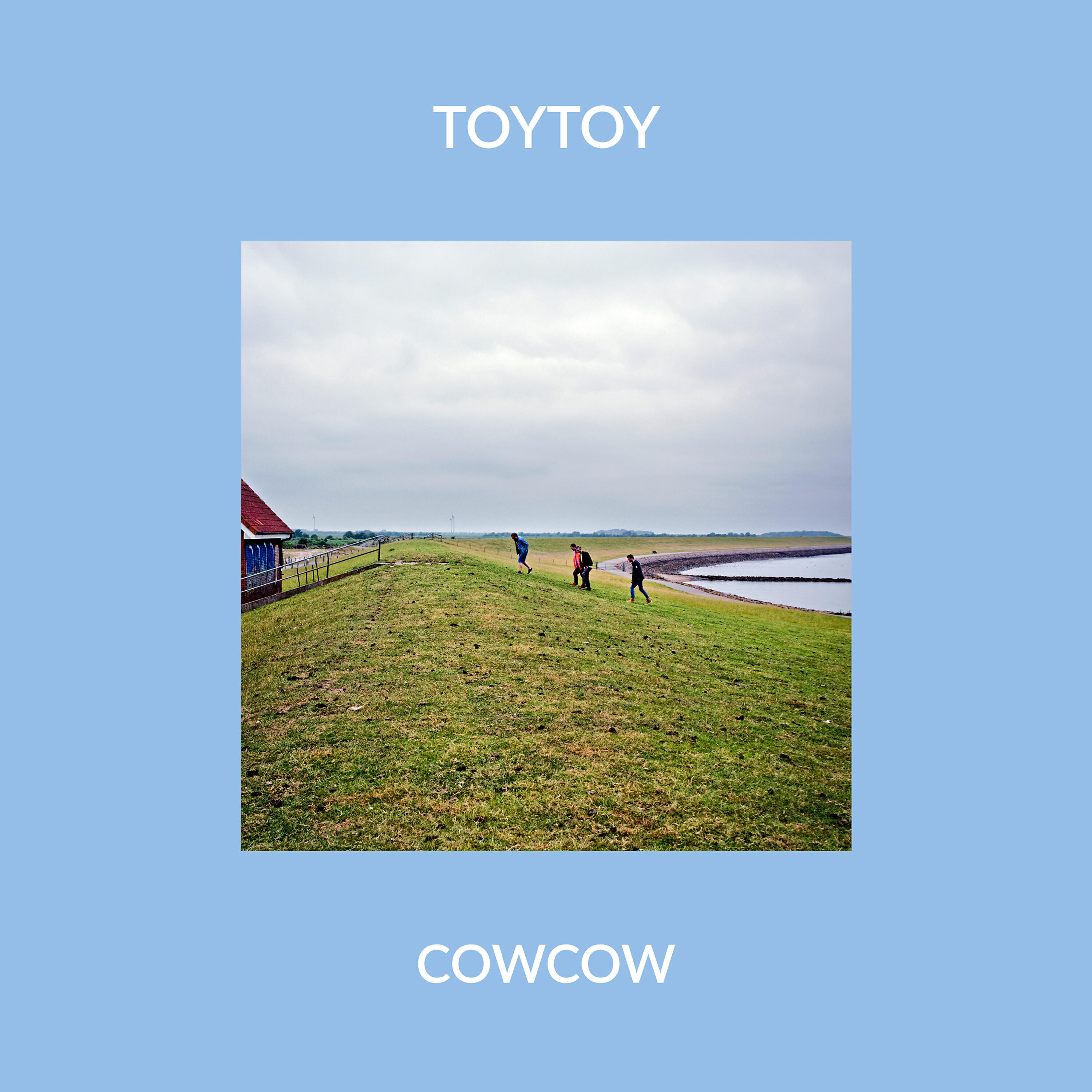 TOYTOY - Cowcow