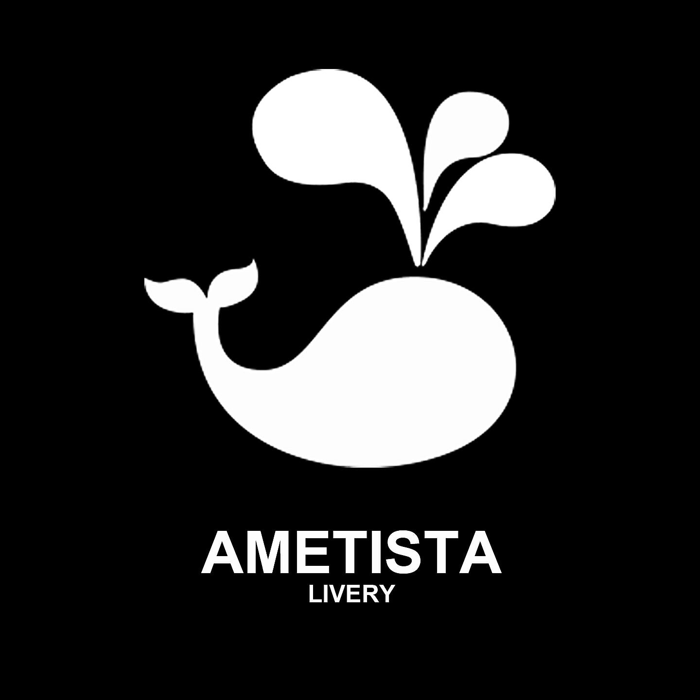 Ametista - Livery