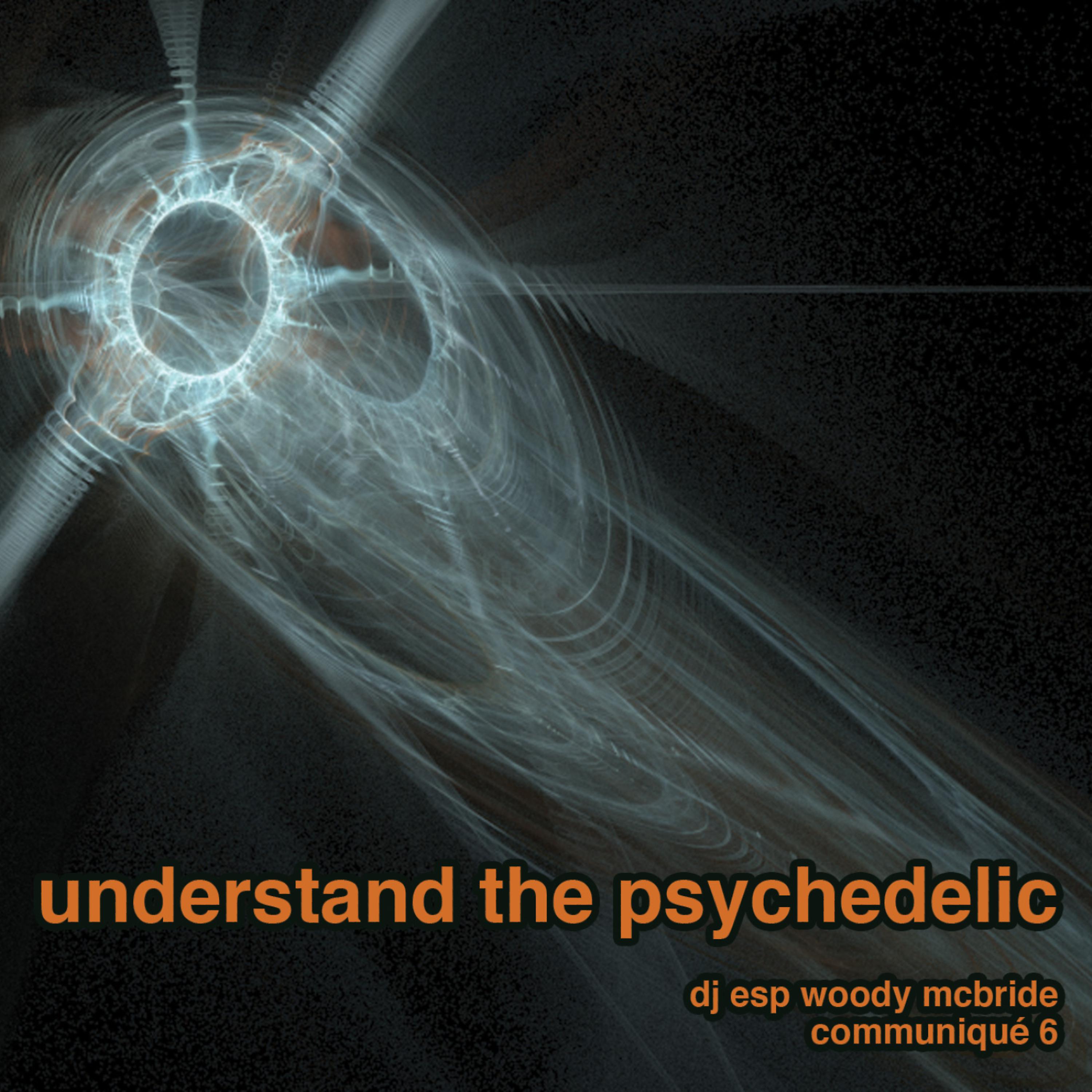 Постер альбома Understand The Psychedelic