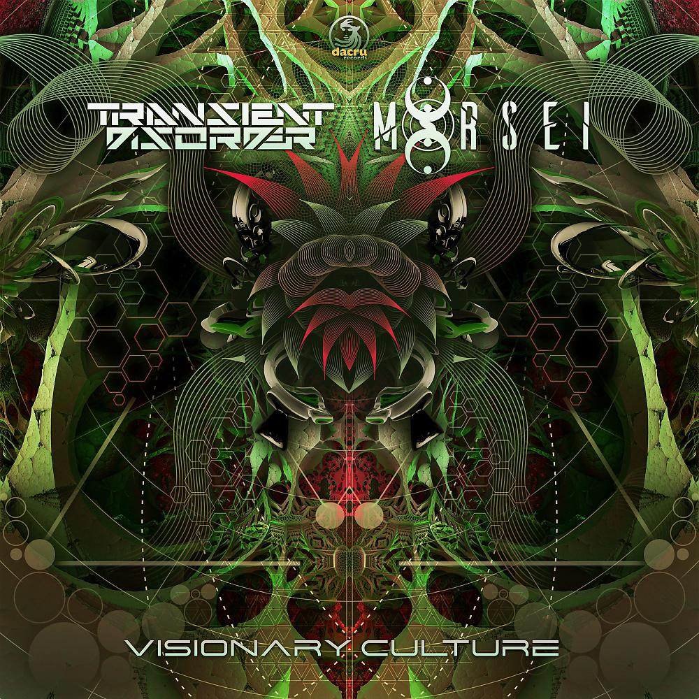 Постер альбома Visionary Culture