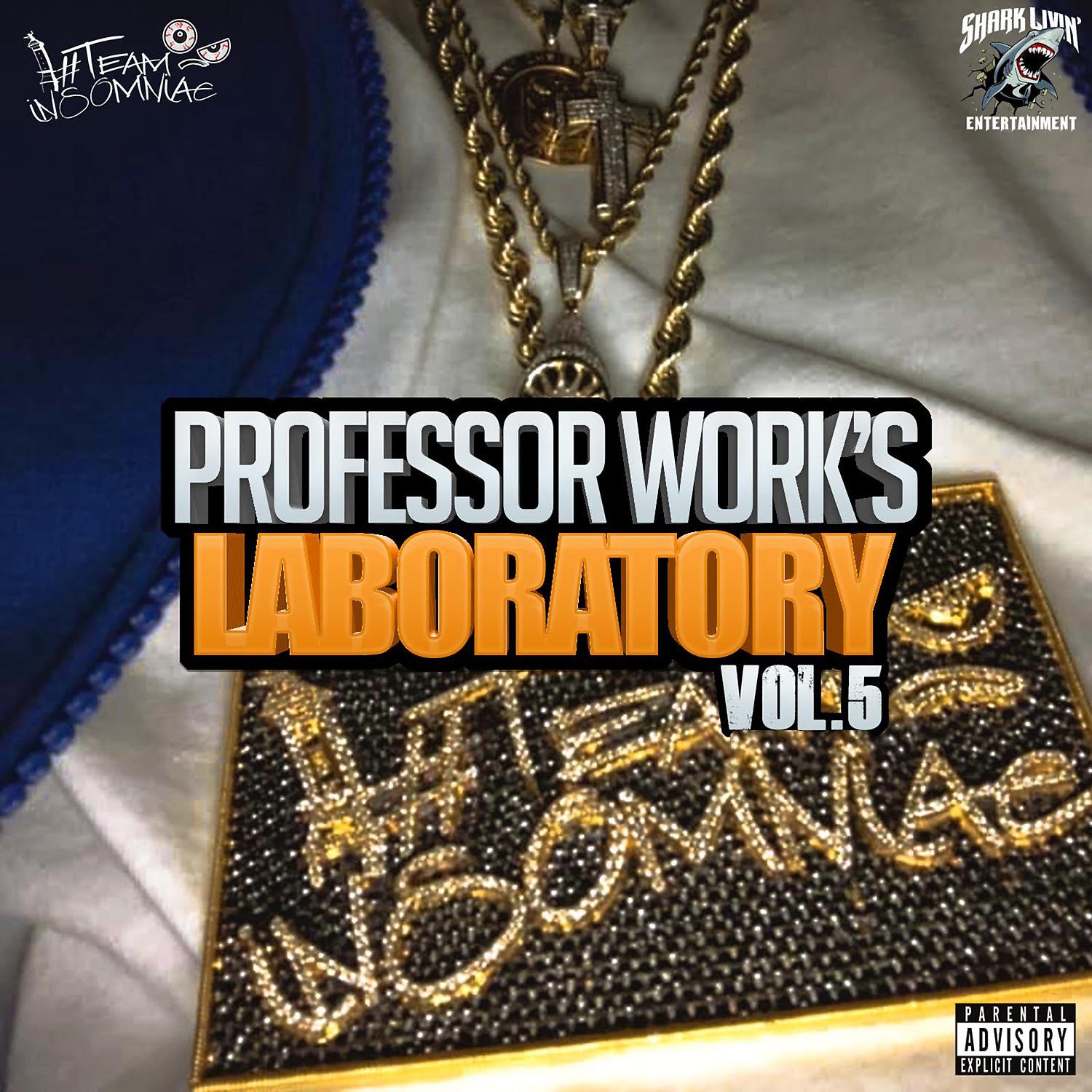 Постер альбома Professor Work's Laboratory, Vol. 5