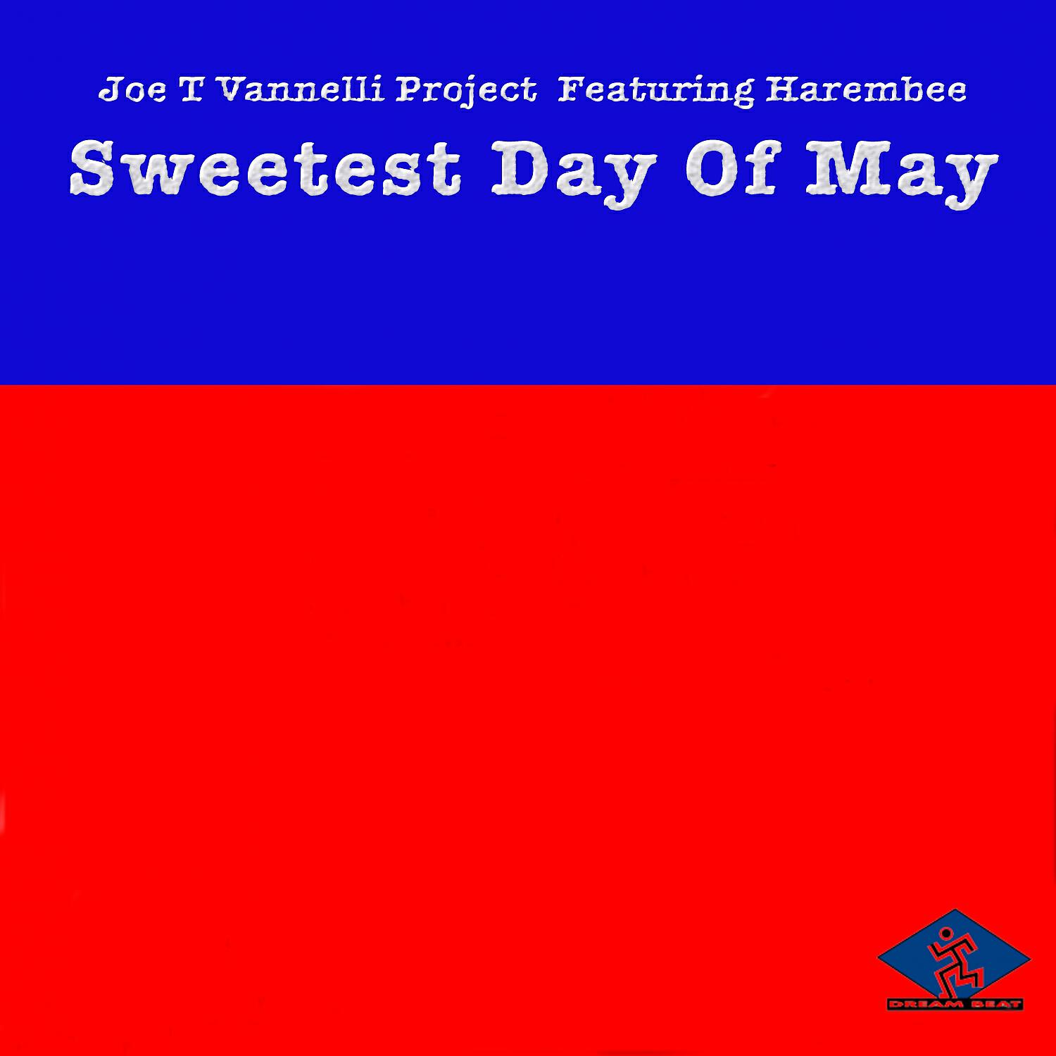 Joe T Vannelli Project - Sweetest Day of May (Joe T Vannelli Dubby Mix)