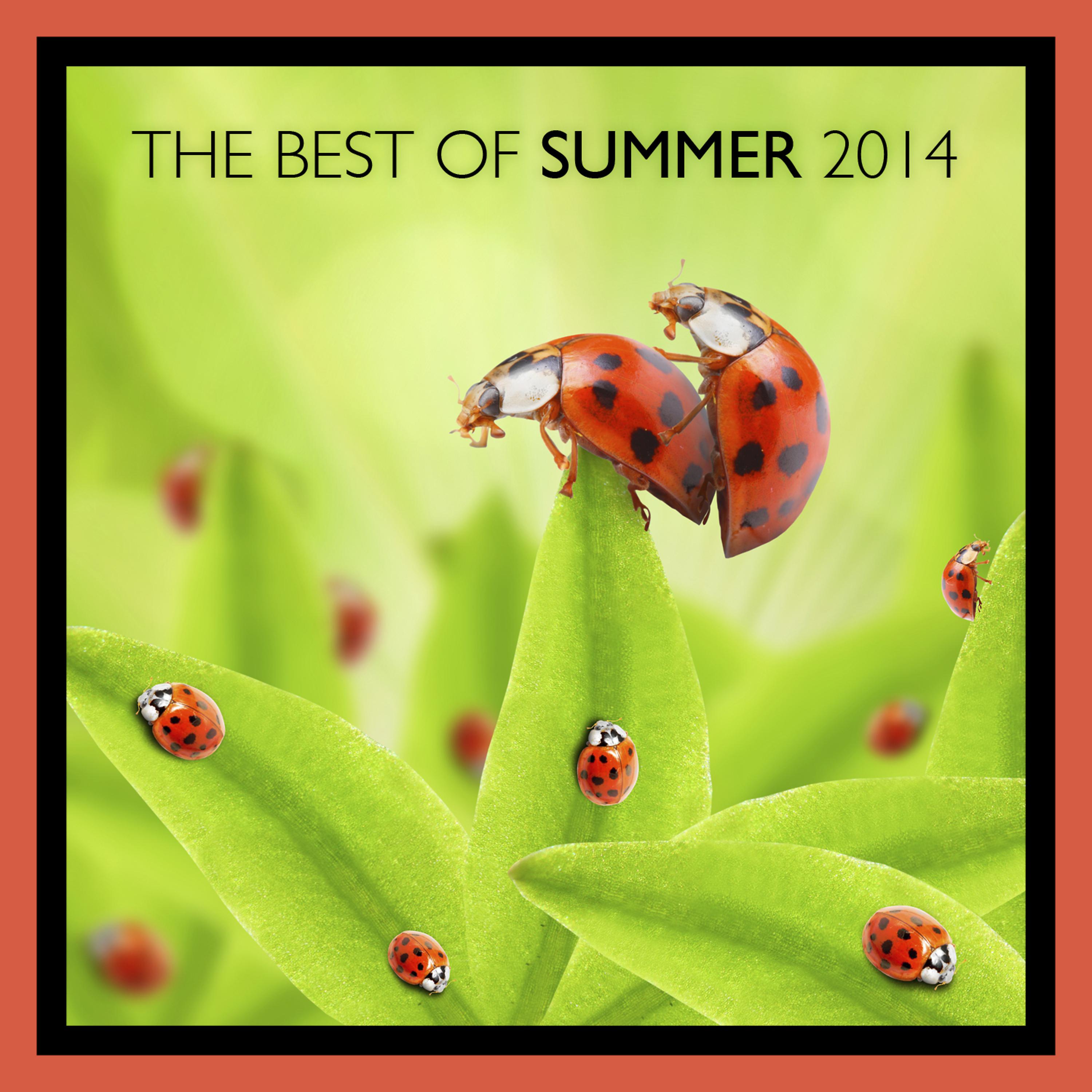 Постер альбома The Best of Summer 2014
