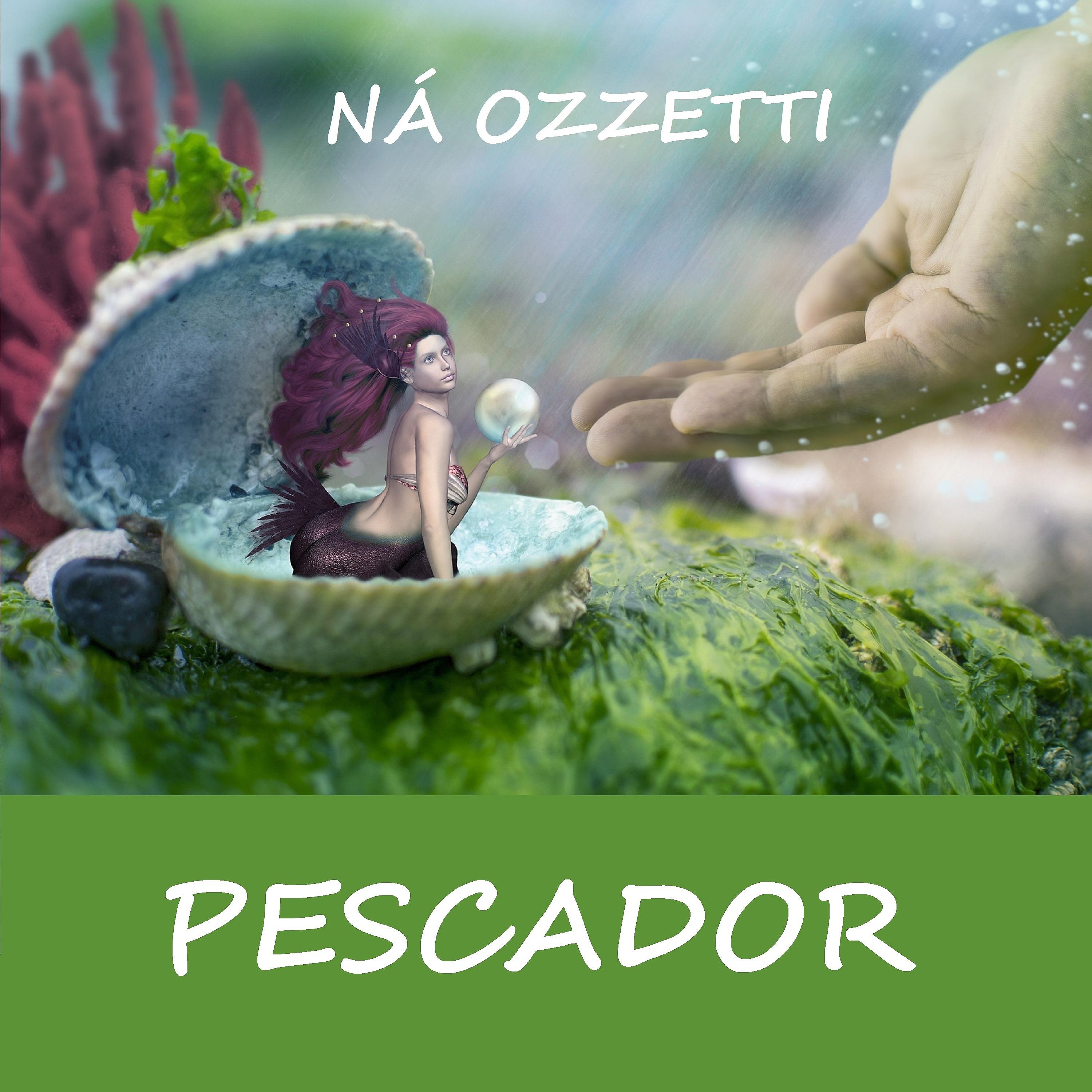 Постер альбома Pescador