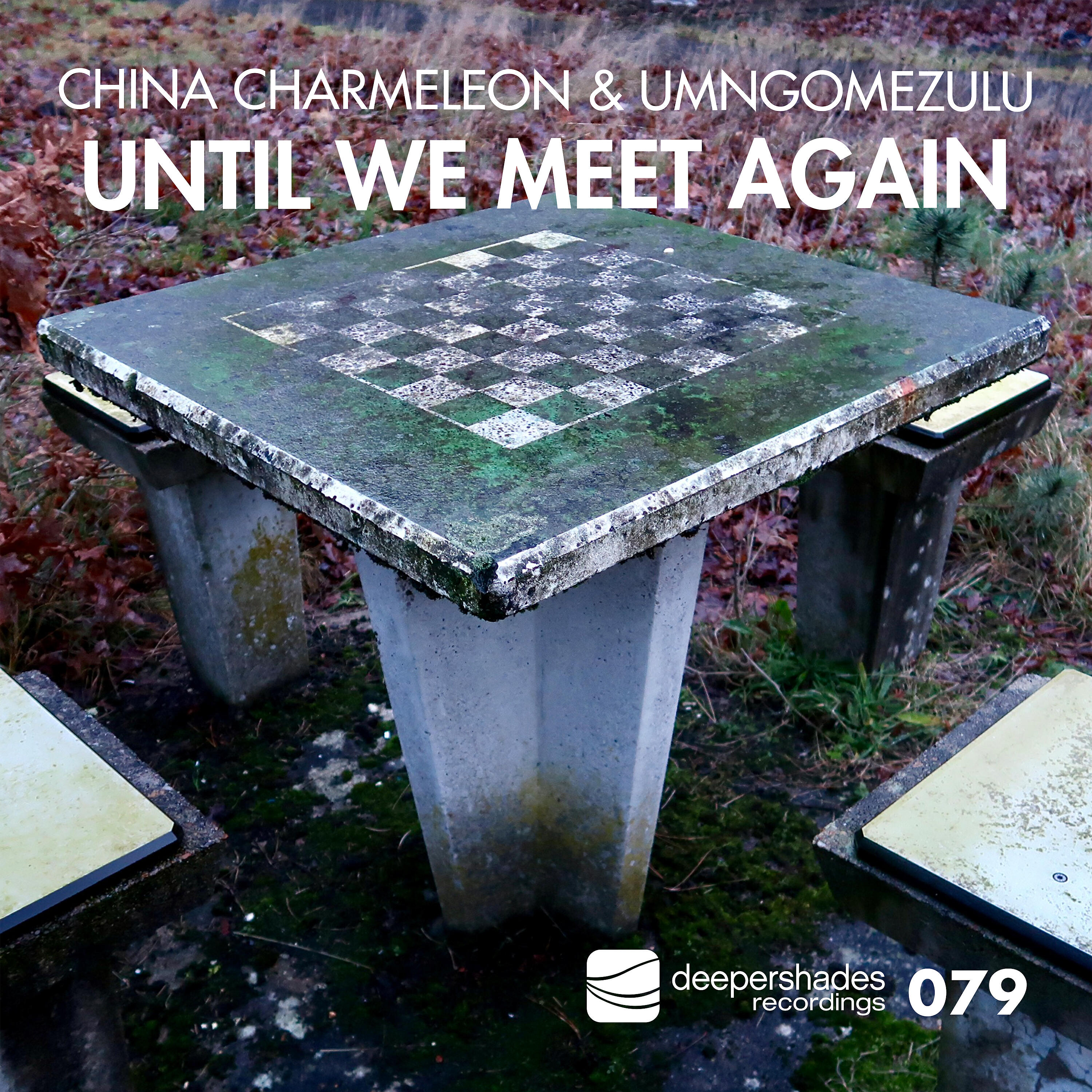 China Charmeleon - Until We Meet Again