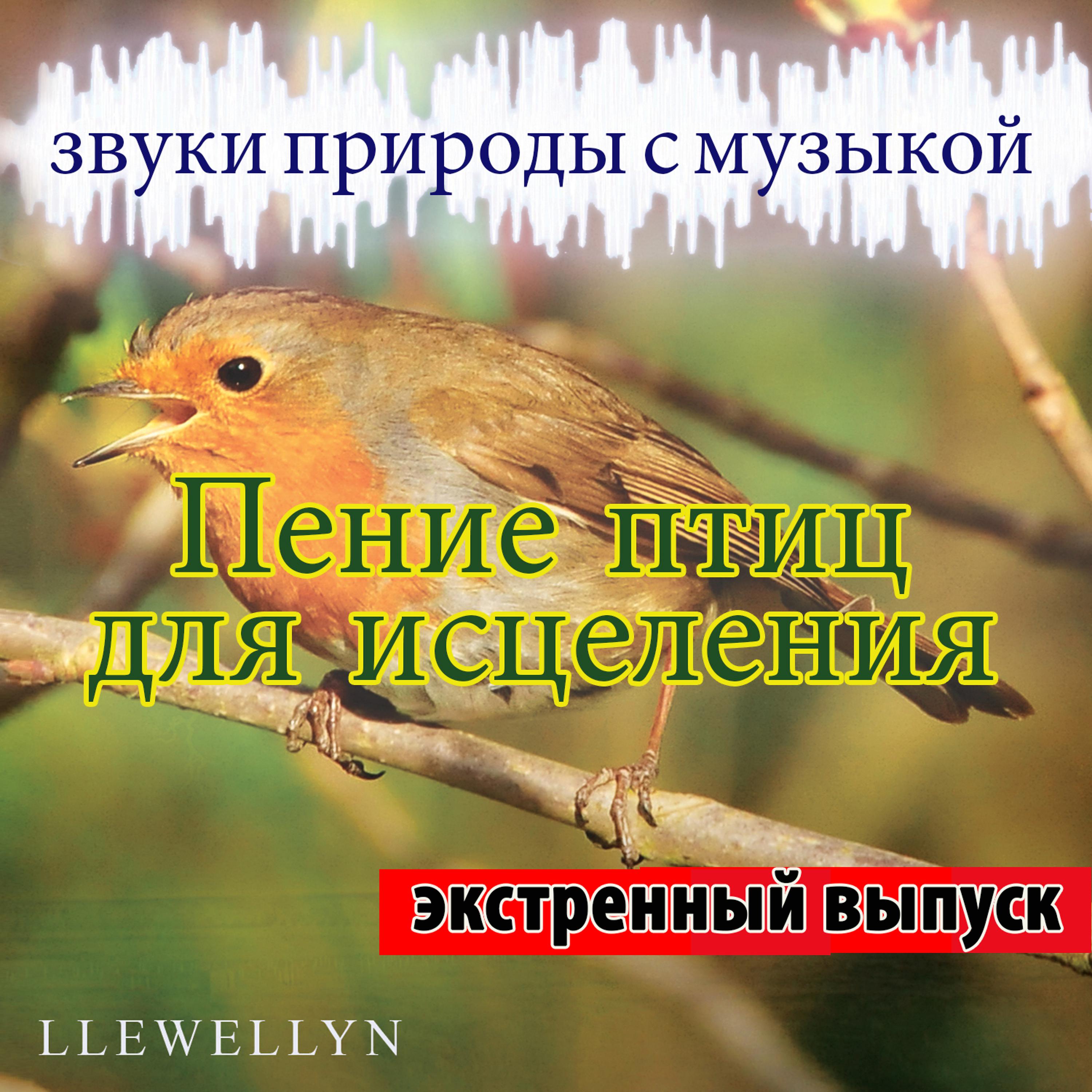 Постер альбома Пение птиц для исцеления: звуки природы с музыкой: экстренный выпуск
