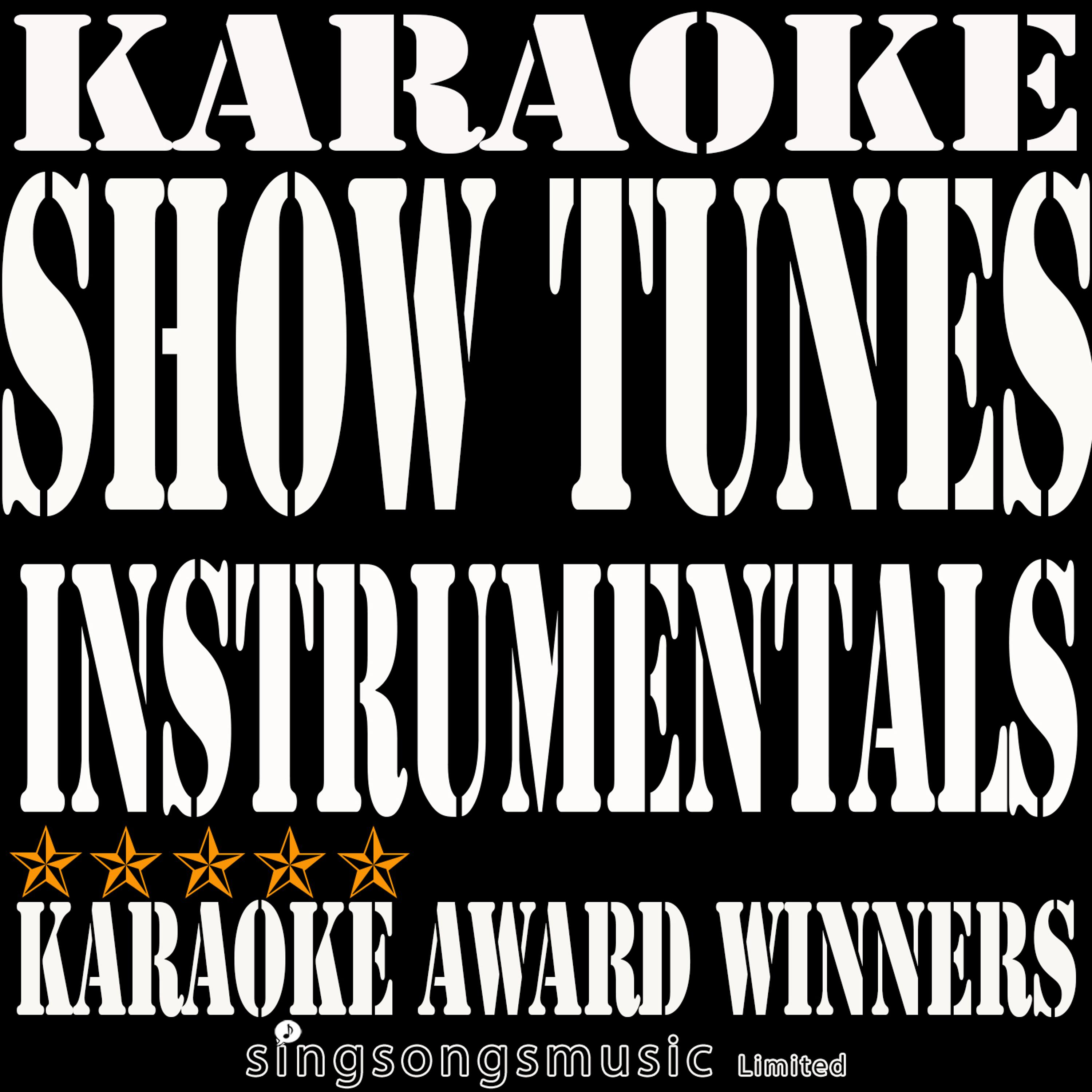 Постер альбома Show Tunes Instrumentals Karaoke, Vol. 2