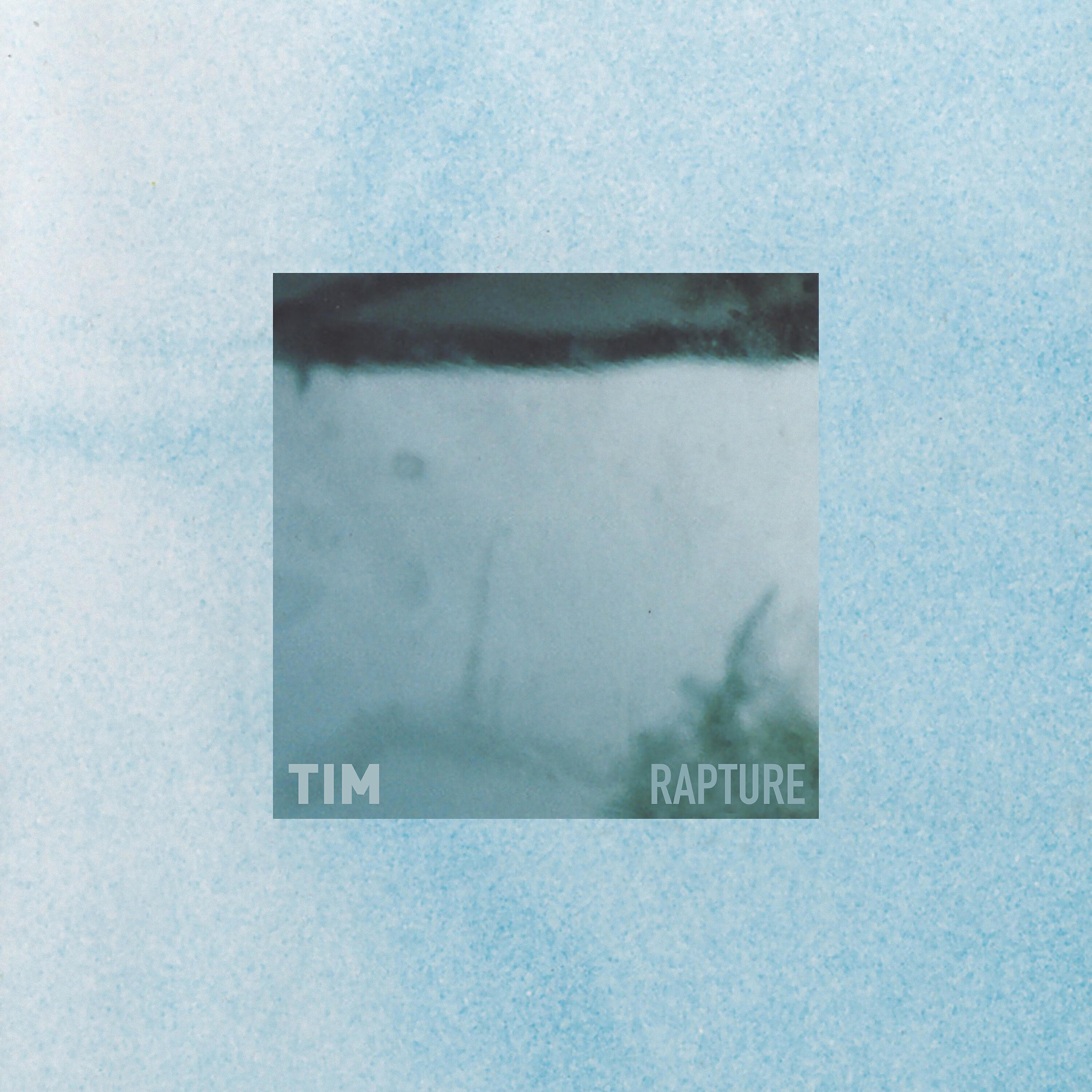 TIM - B96