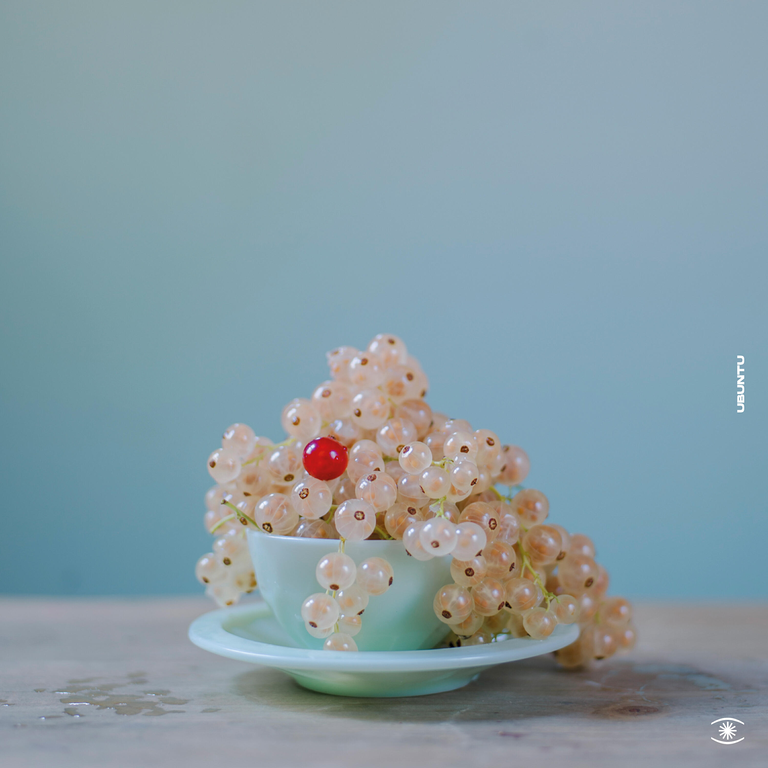 Reinhard Vanbergen - For Charlotte