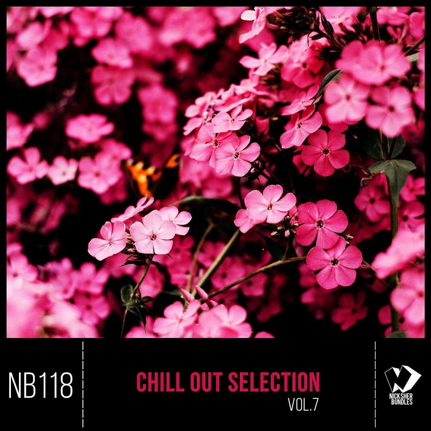 2illusions - Searching for Harmony (Original Mix)