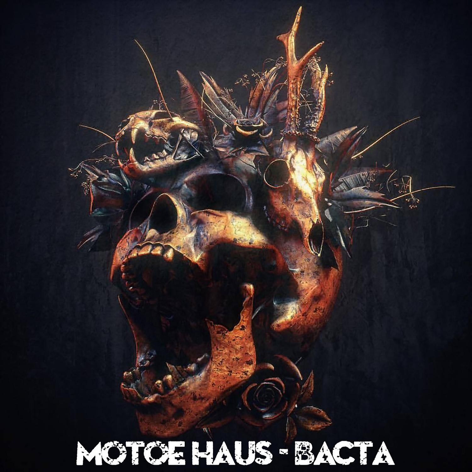 Постер альбома Bacta