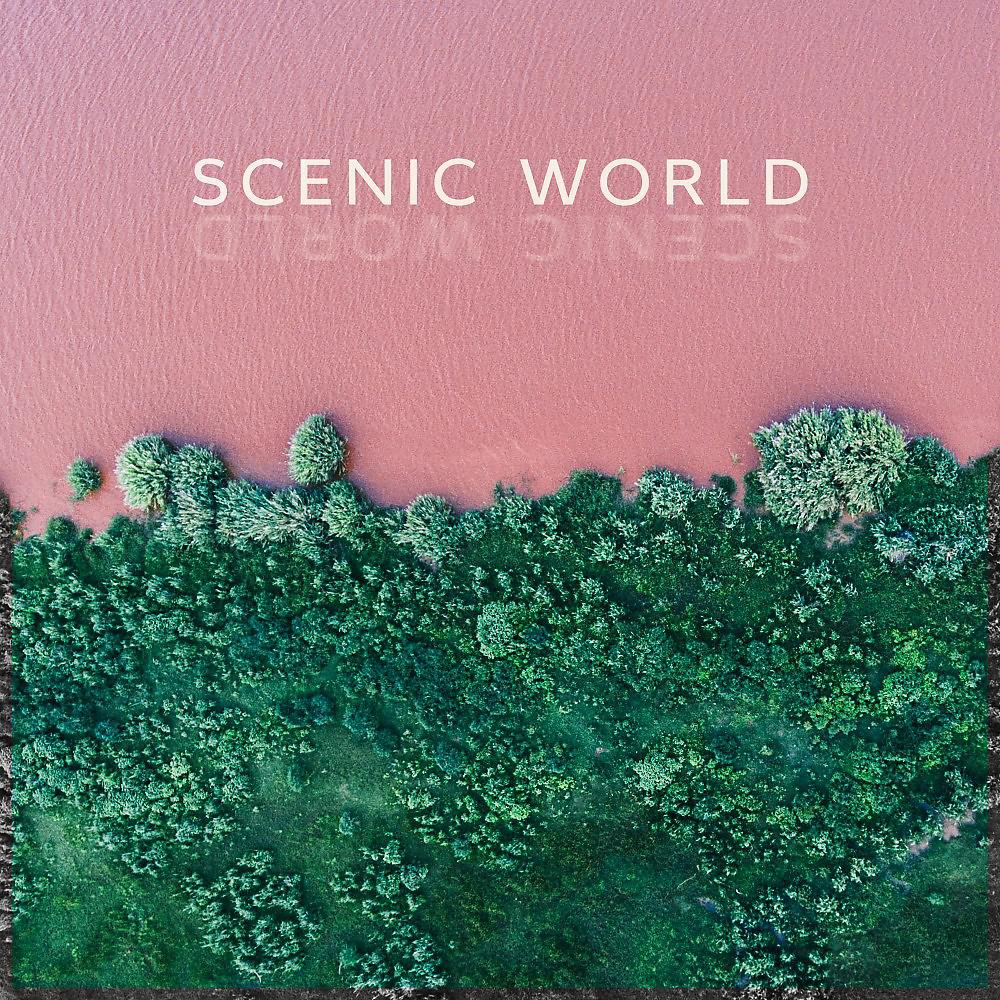 Постер альбома Scenic World