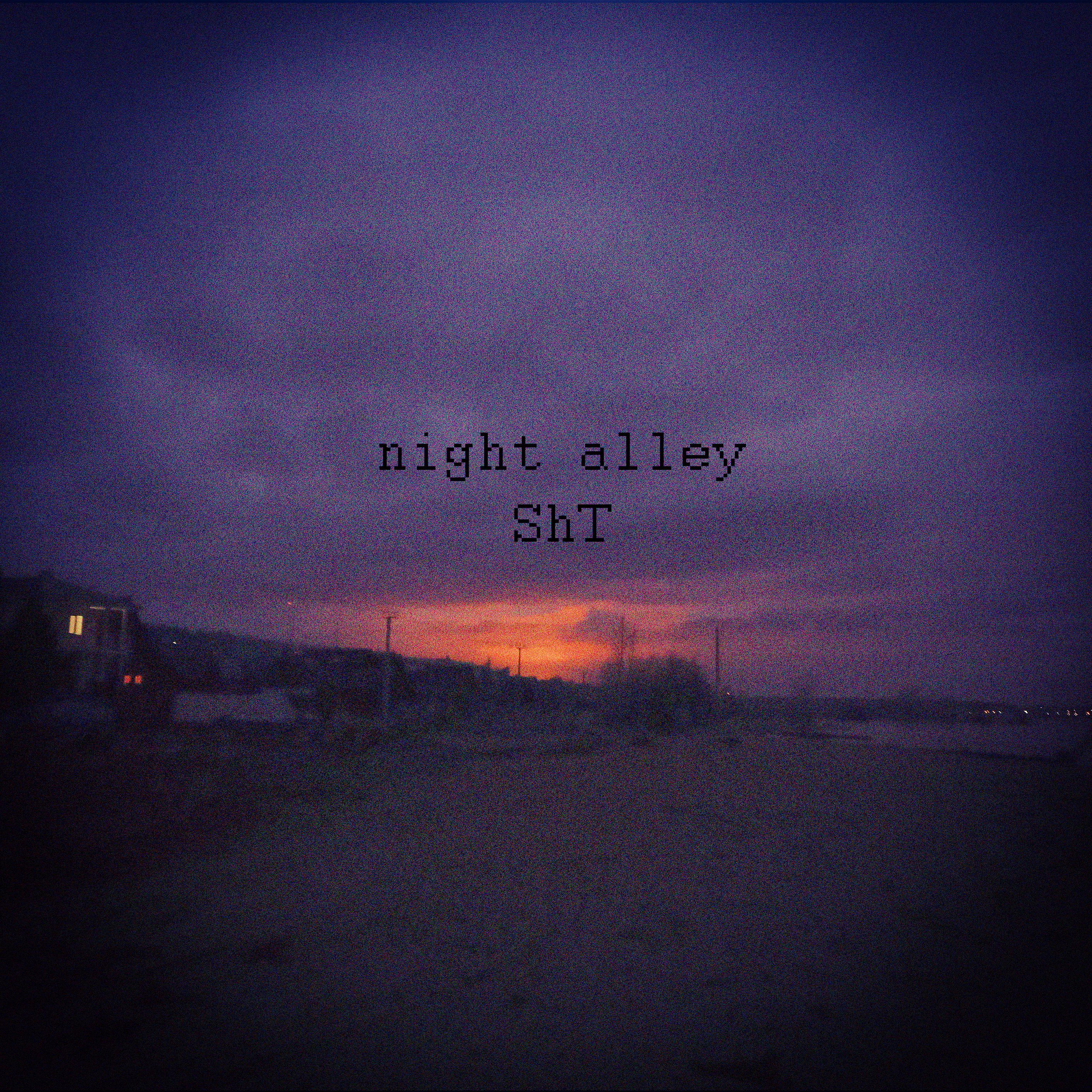 Постер альбома Night Alley