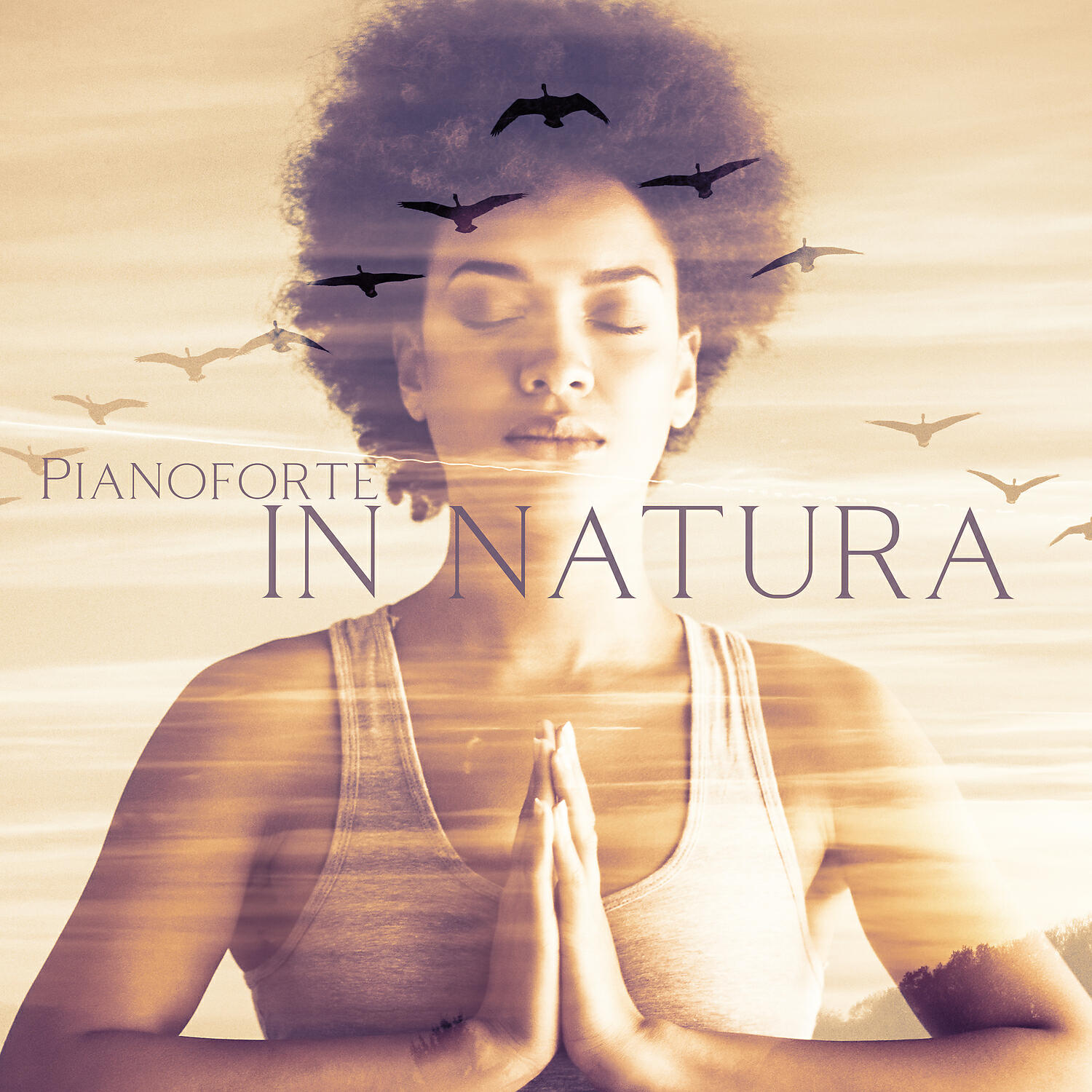 Suoni Naturali Zen - Classica relax