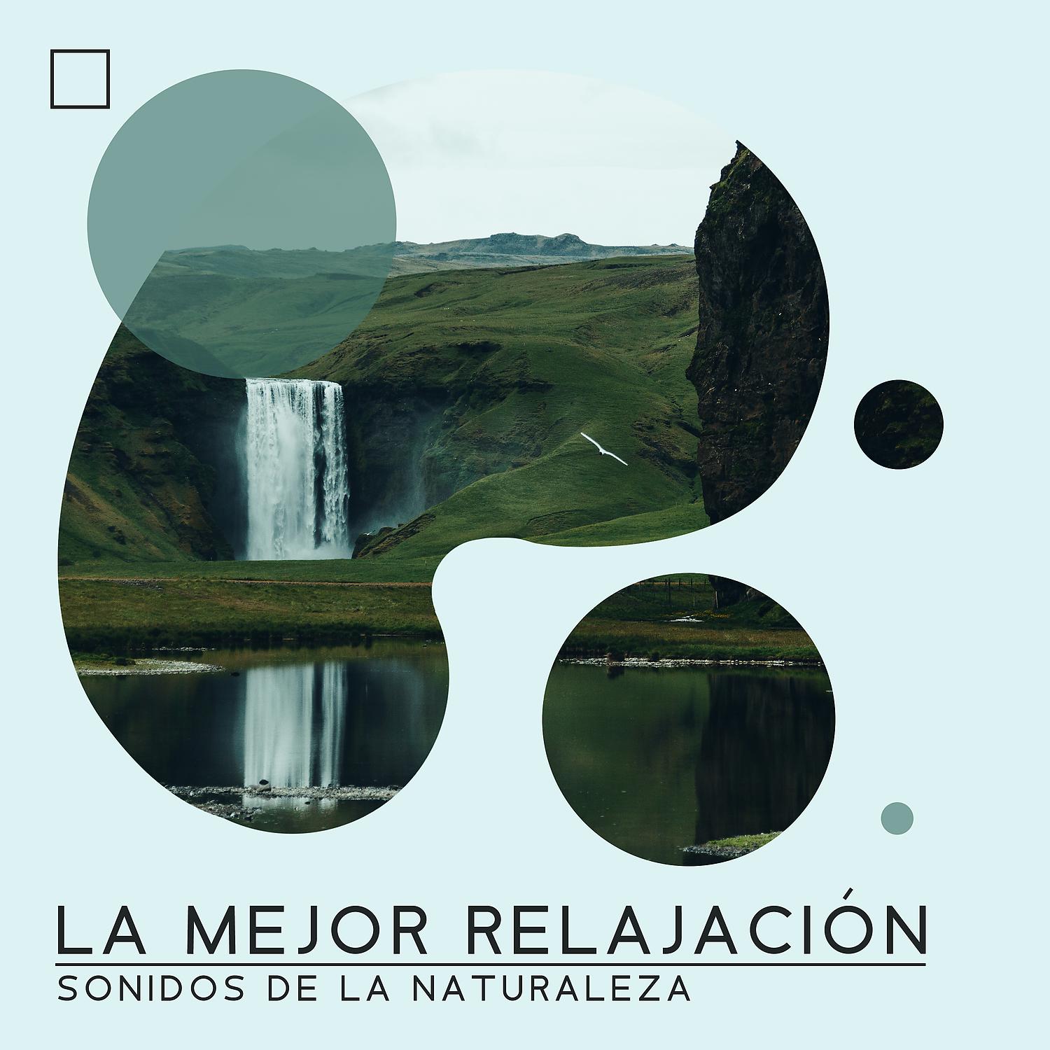 Постер альбома La Mejor Relajación - Sonidos de la Naturaleza: Relajación, Meditación y Dulces Sueños, Musicoterapia Natural y Música Relajante