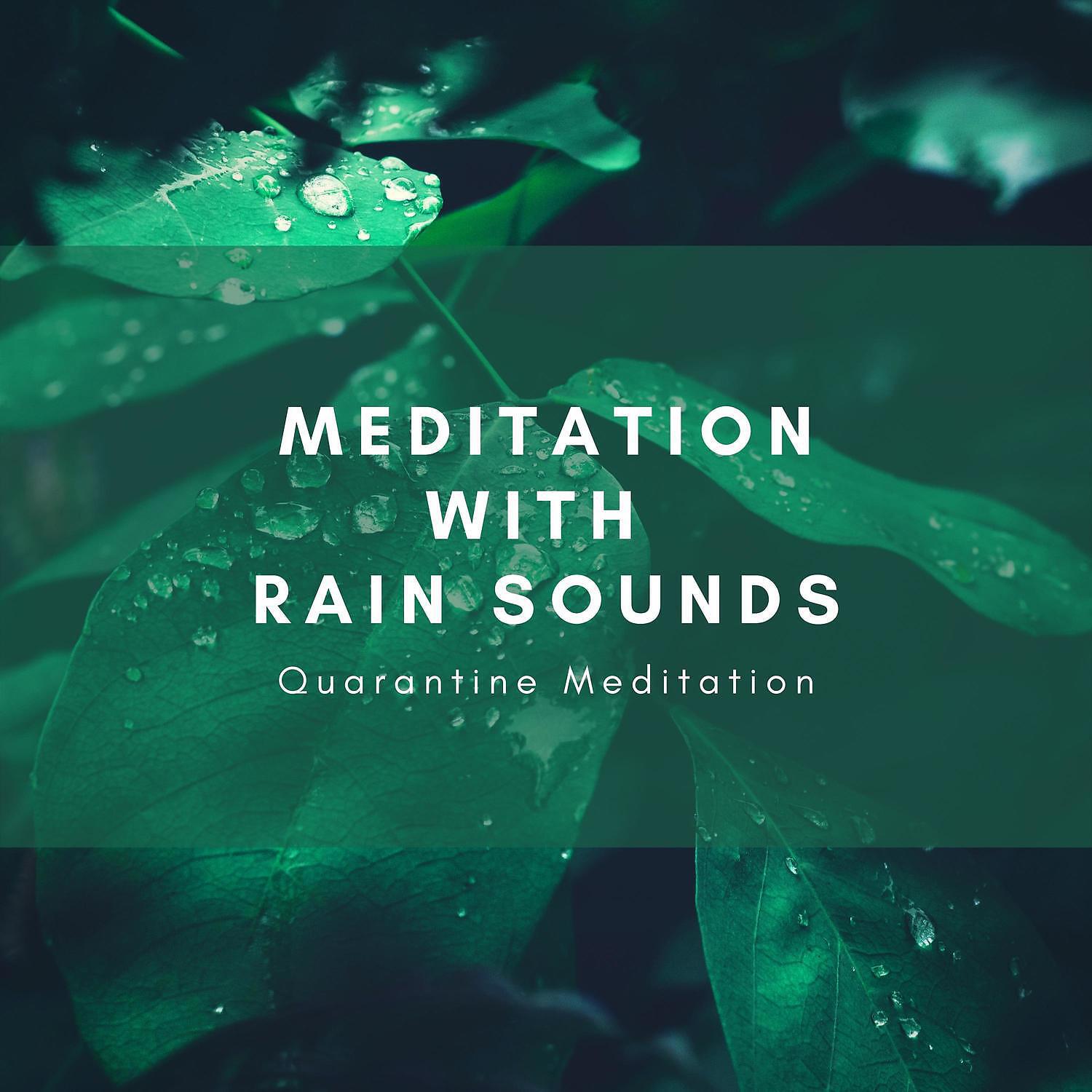 Quarantine Meditation - Bit By Bit