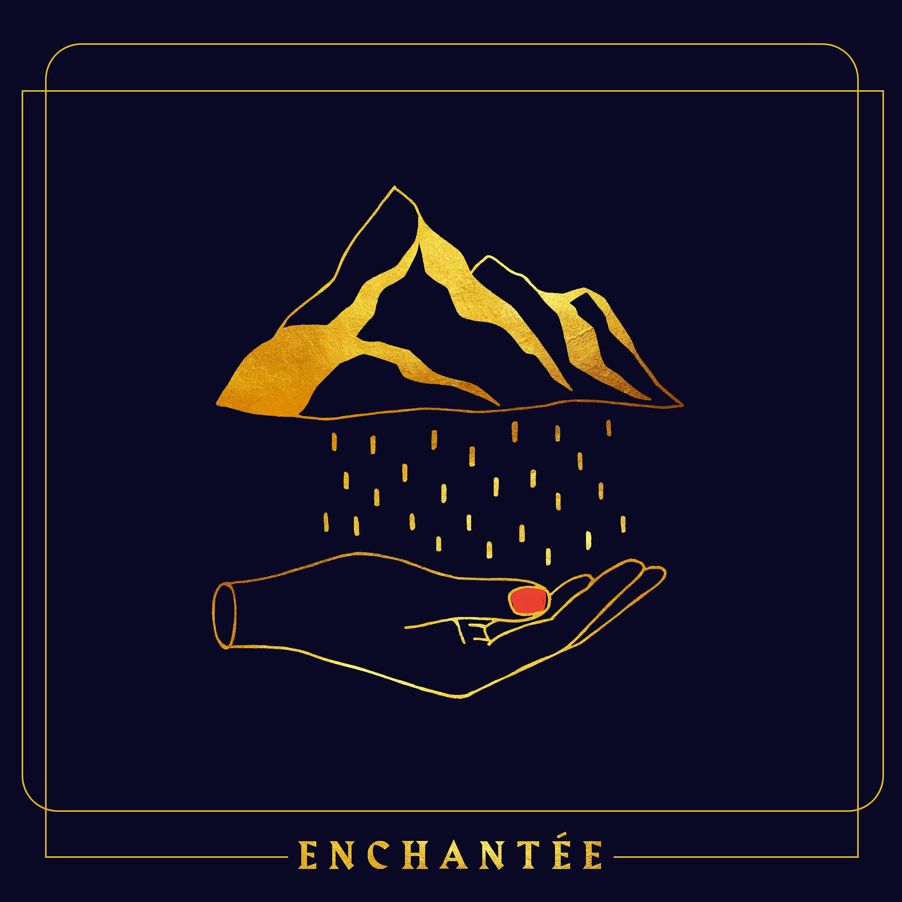 Постер альбома Enchantée