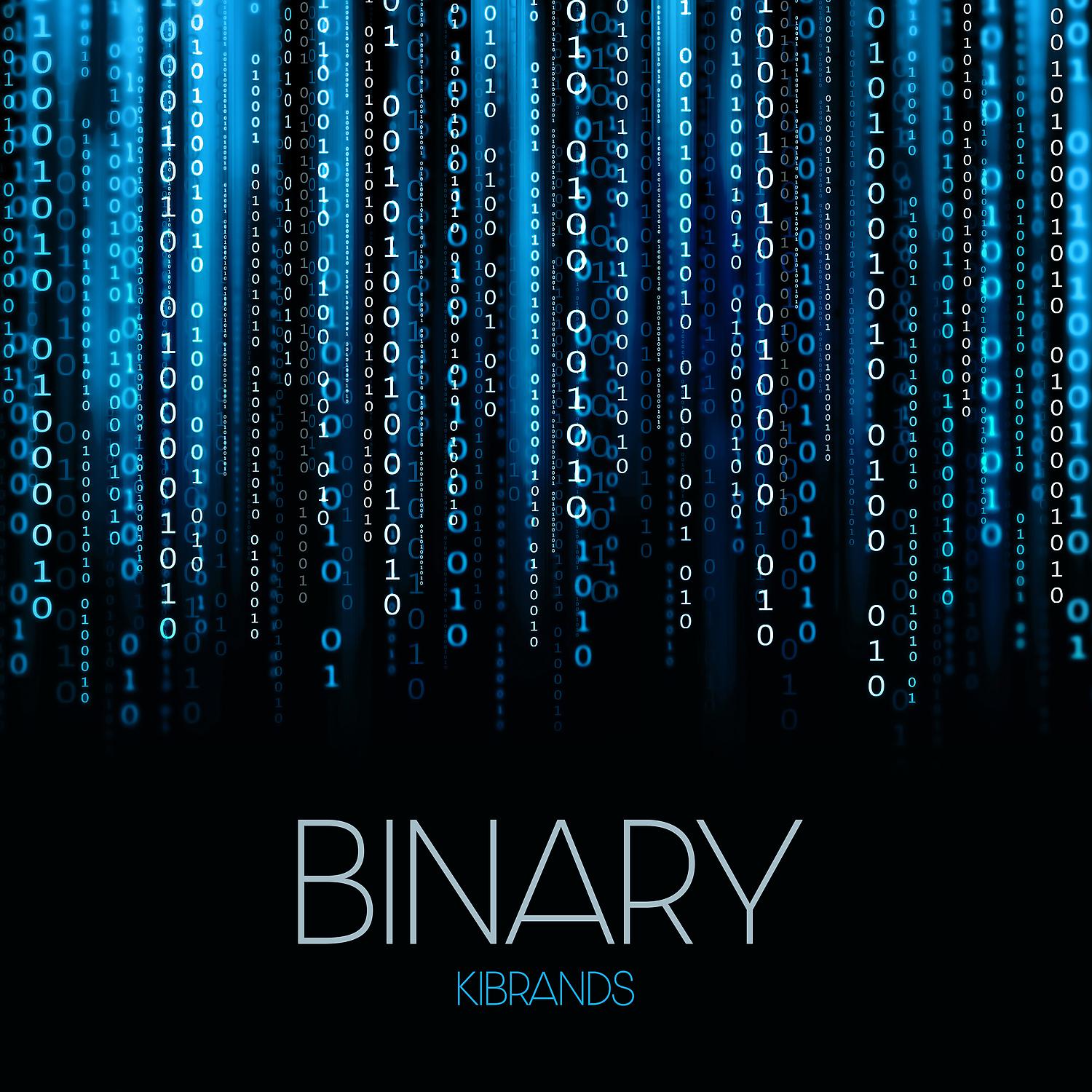 Постер альбома Binary