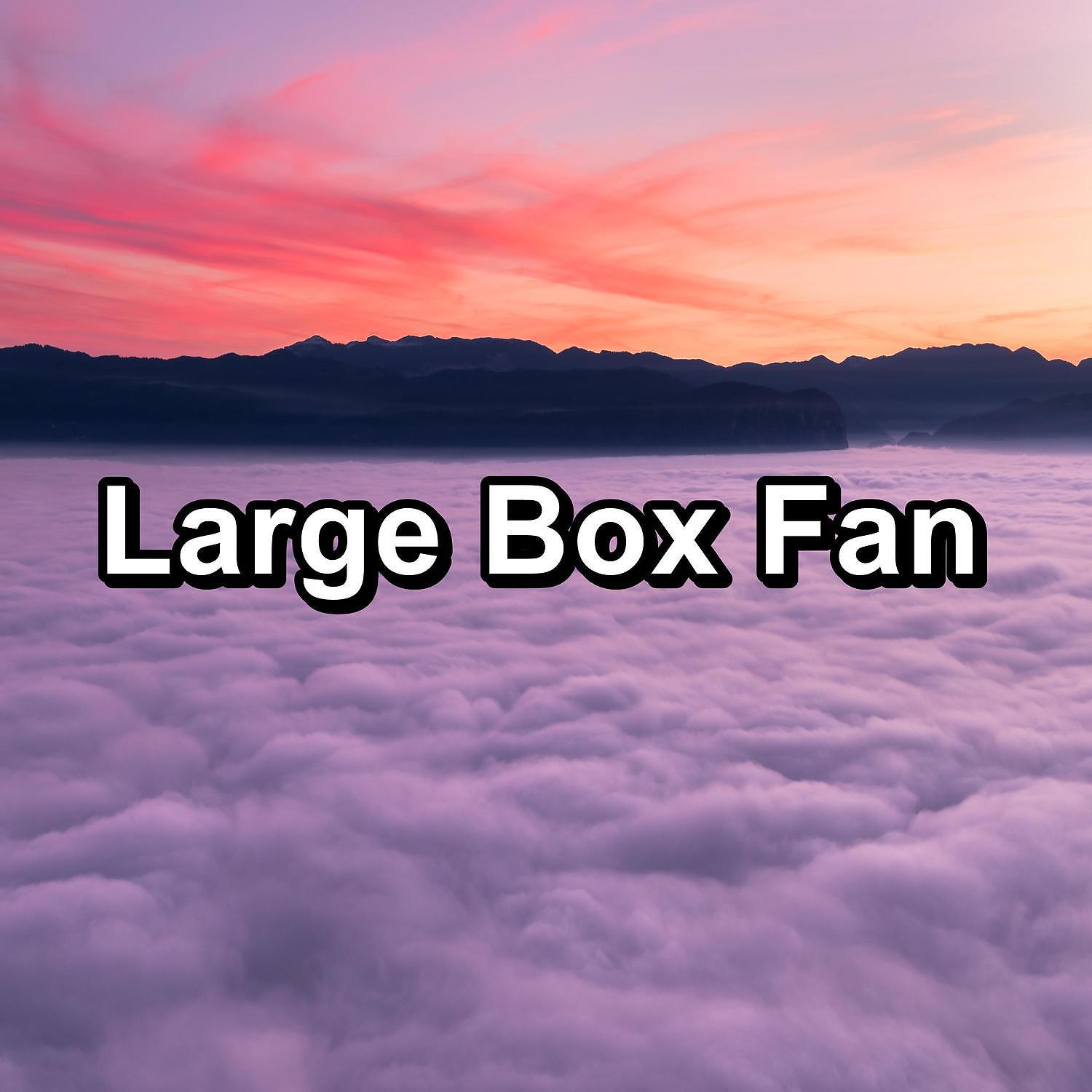Постер альбома Large Box Fan