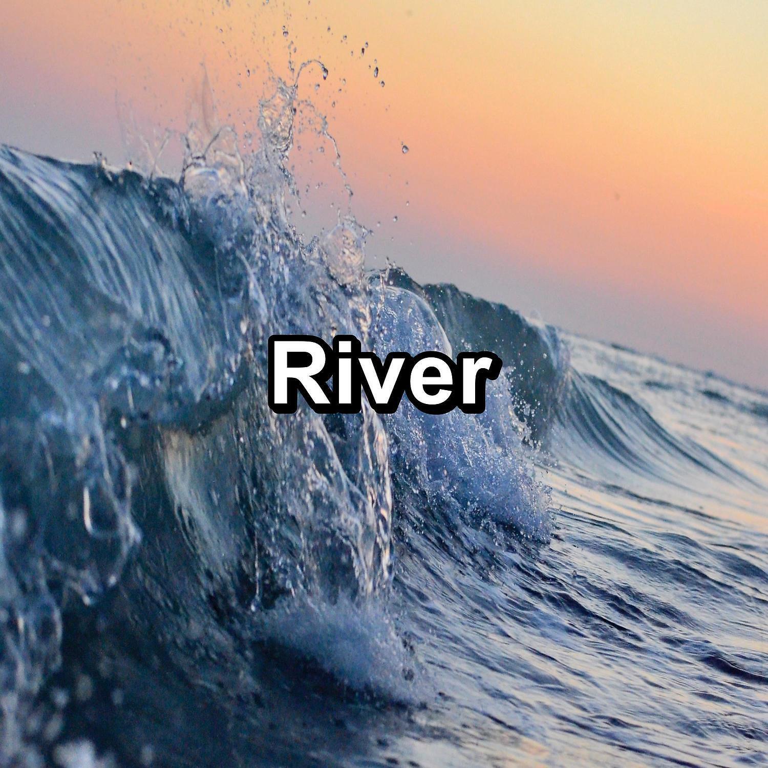 Relaxing Music - Sleepy Sea Sounds Soothing Sounds to Relief the Night