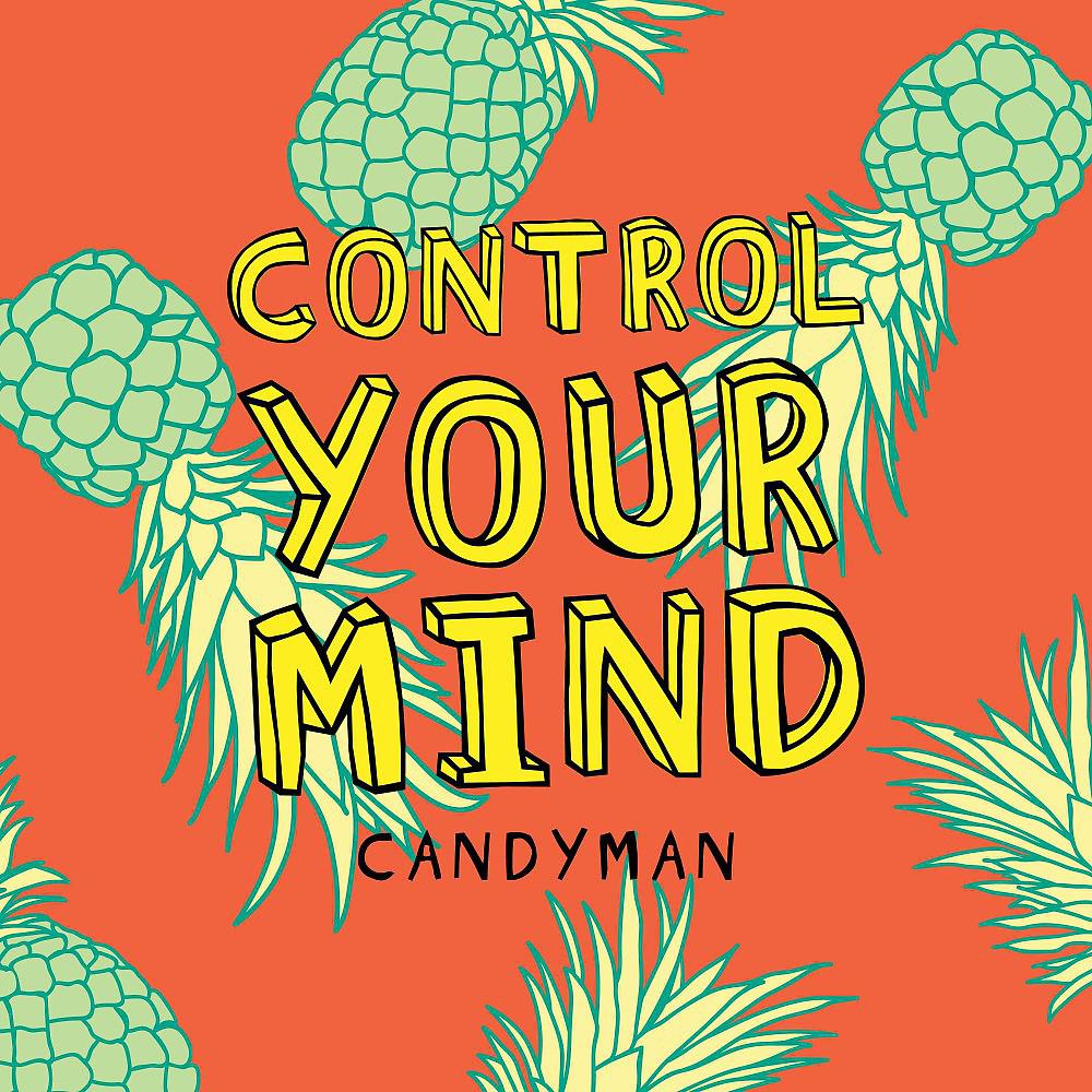 Постер альбома Control Your Mind
