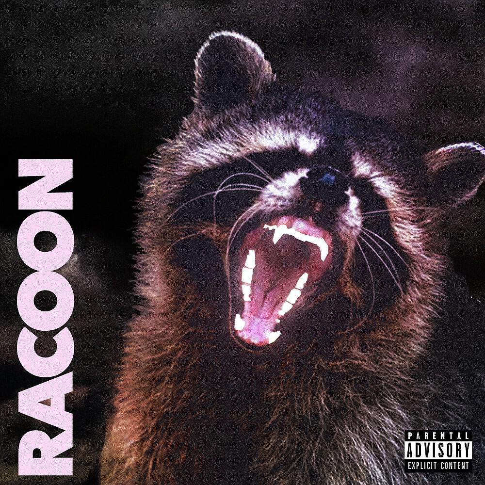 GANO - Racoon