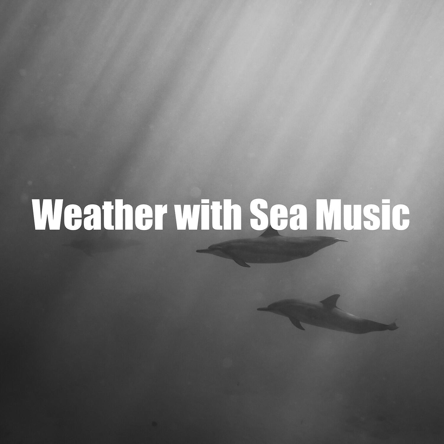 Calm Weather Factory - Refreshing Ambient from Sea and Rain