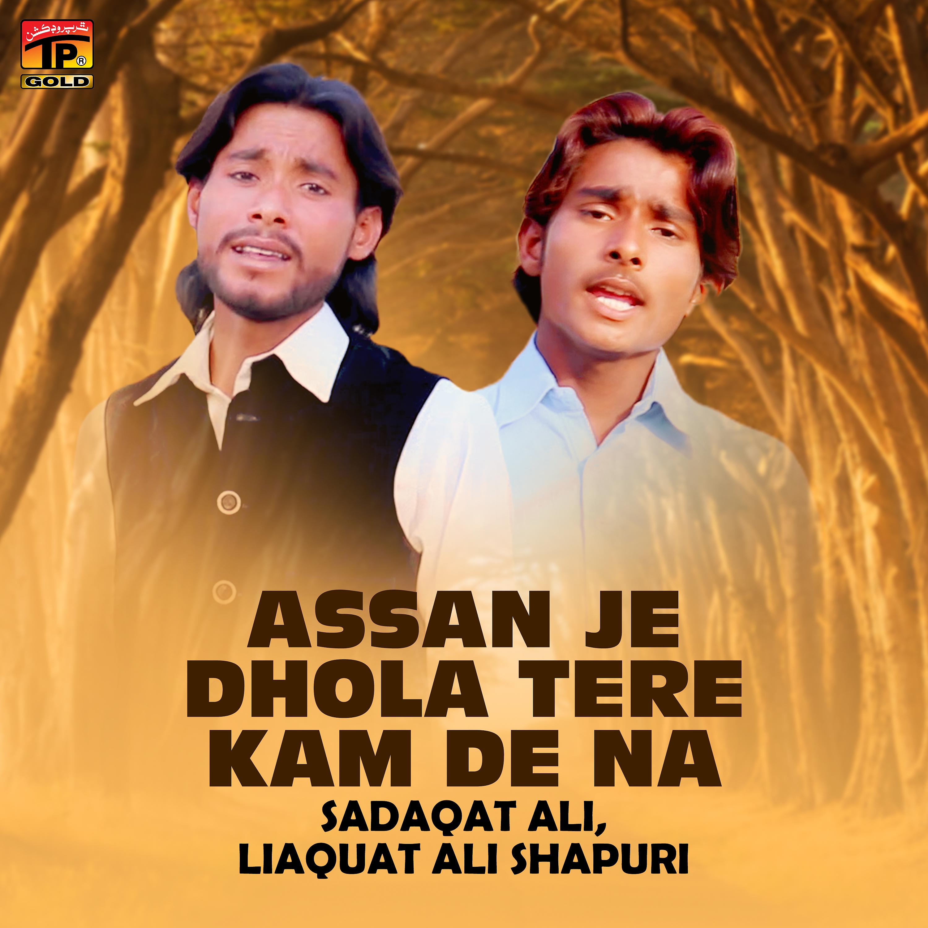 Постер альбома Assan Je Dhola Tere Kam De Na - Single