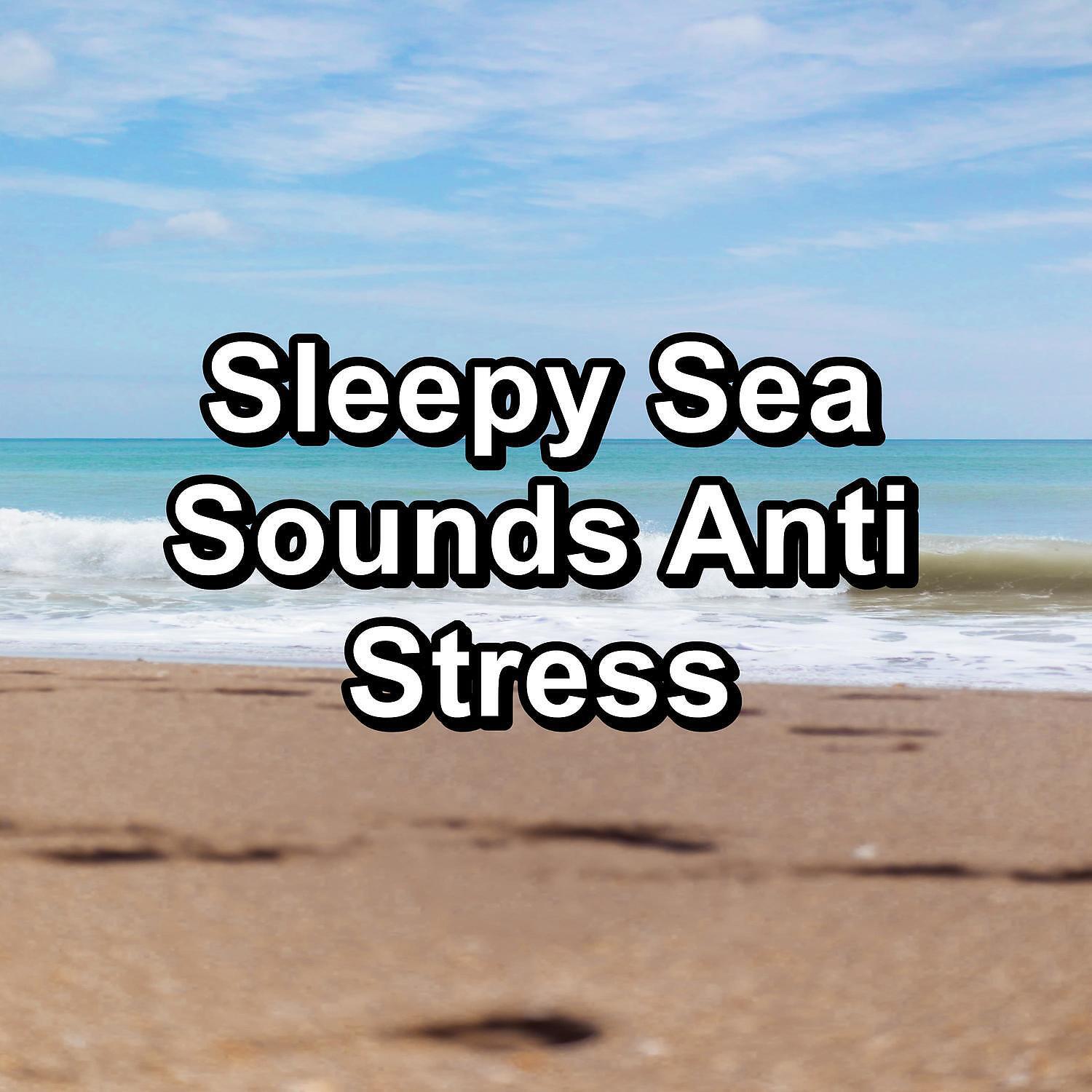 Oasis de Détente et Relaxation - Cool Ocean Waves Ocean Noise New Age Music
