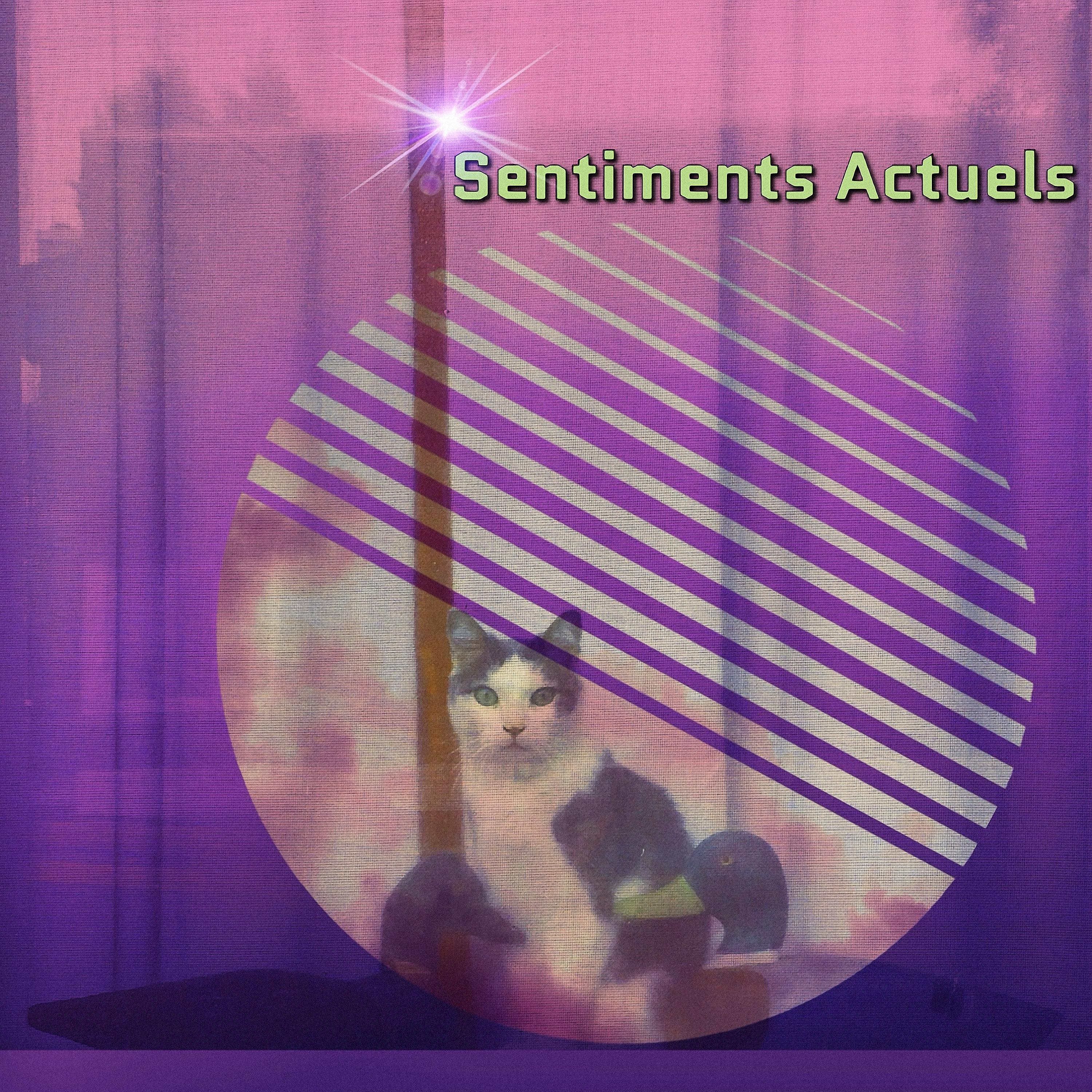 Постер альбома Sentiments actuels (feat. Myëlle and Marcie)