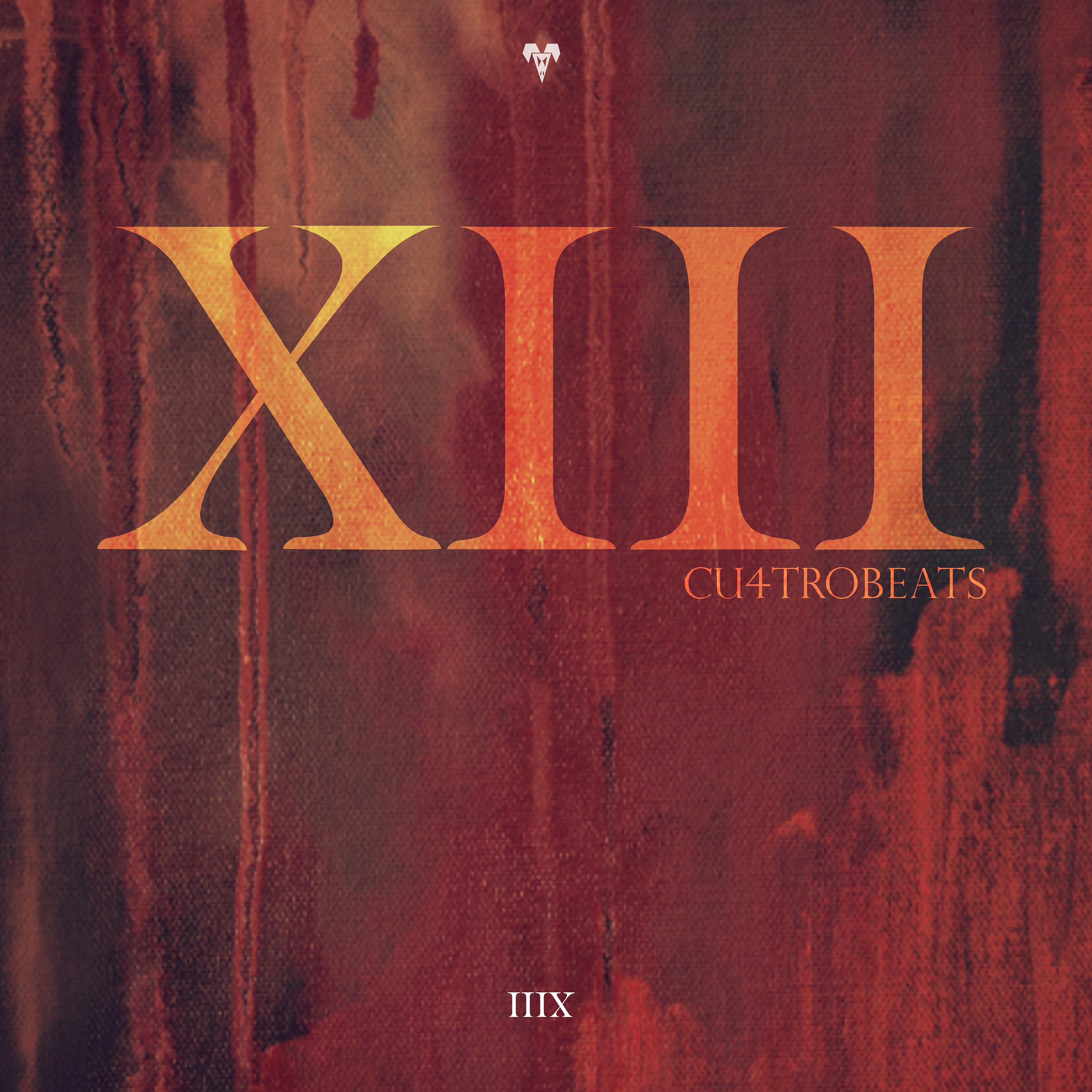 Постер альбома XIII