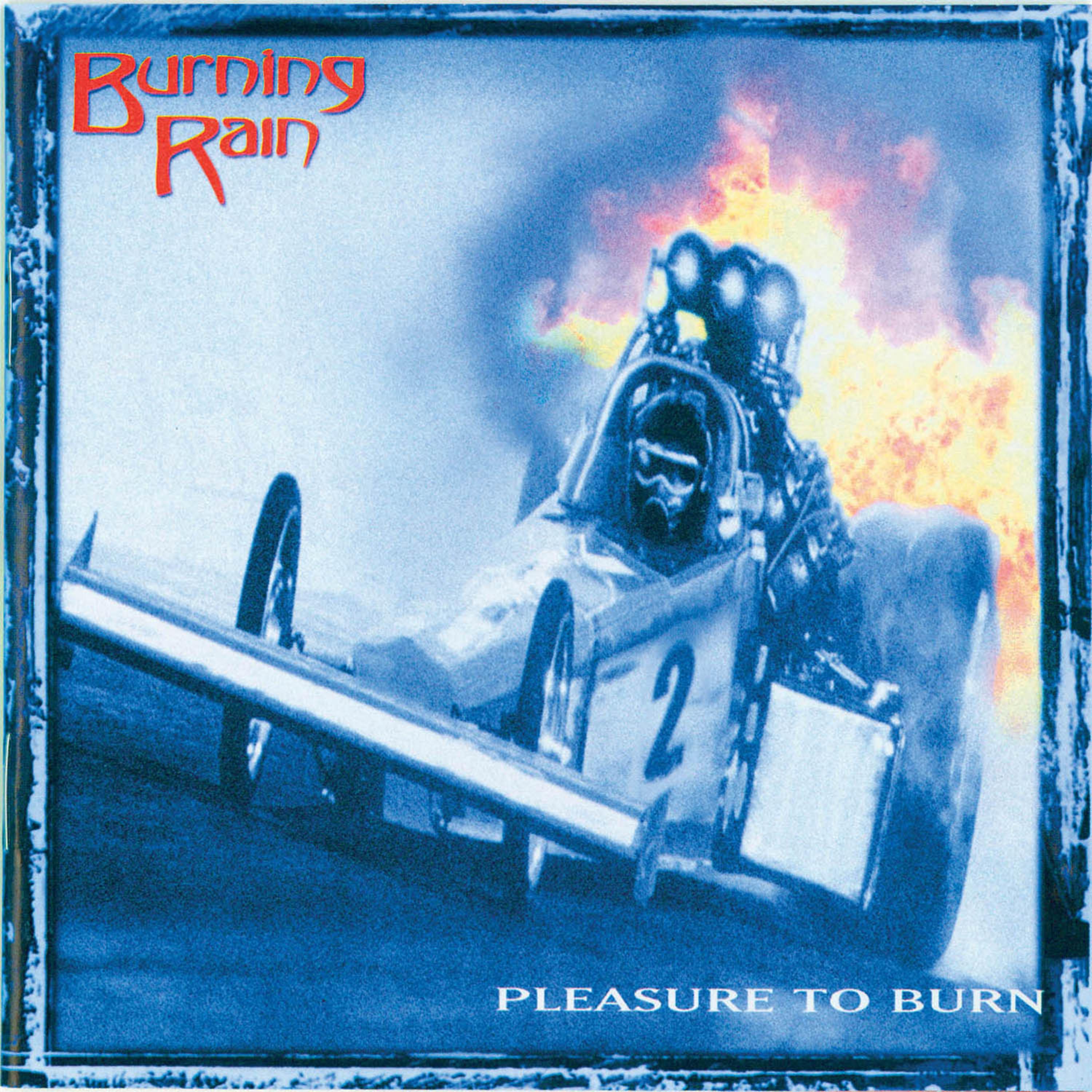 Постер альбома Pleasure to Burn (2013 Deluxe Edition)