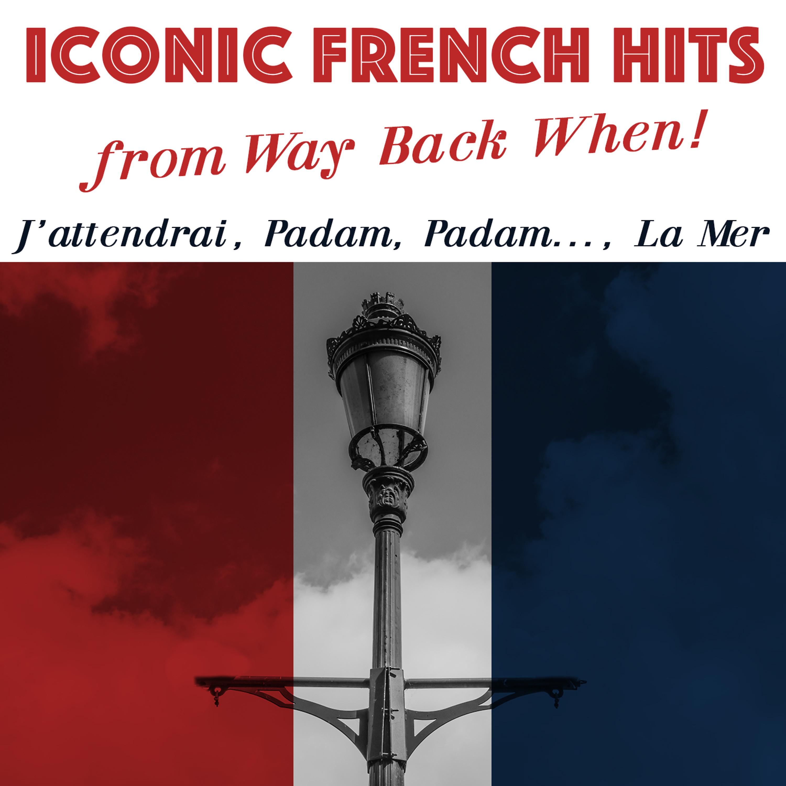 Постер альбома Iconic French Hits from Way Back When!
