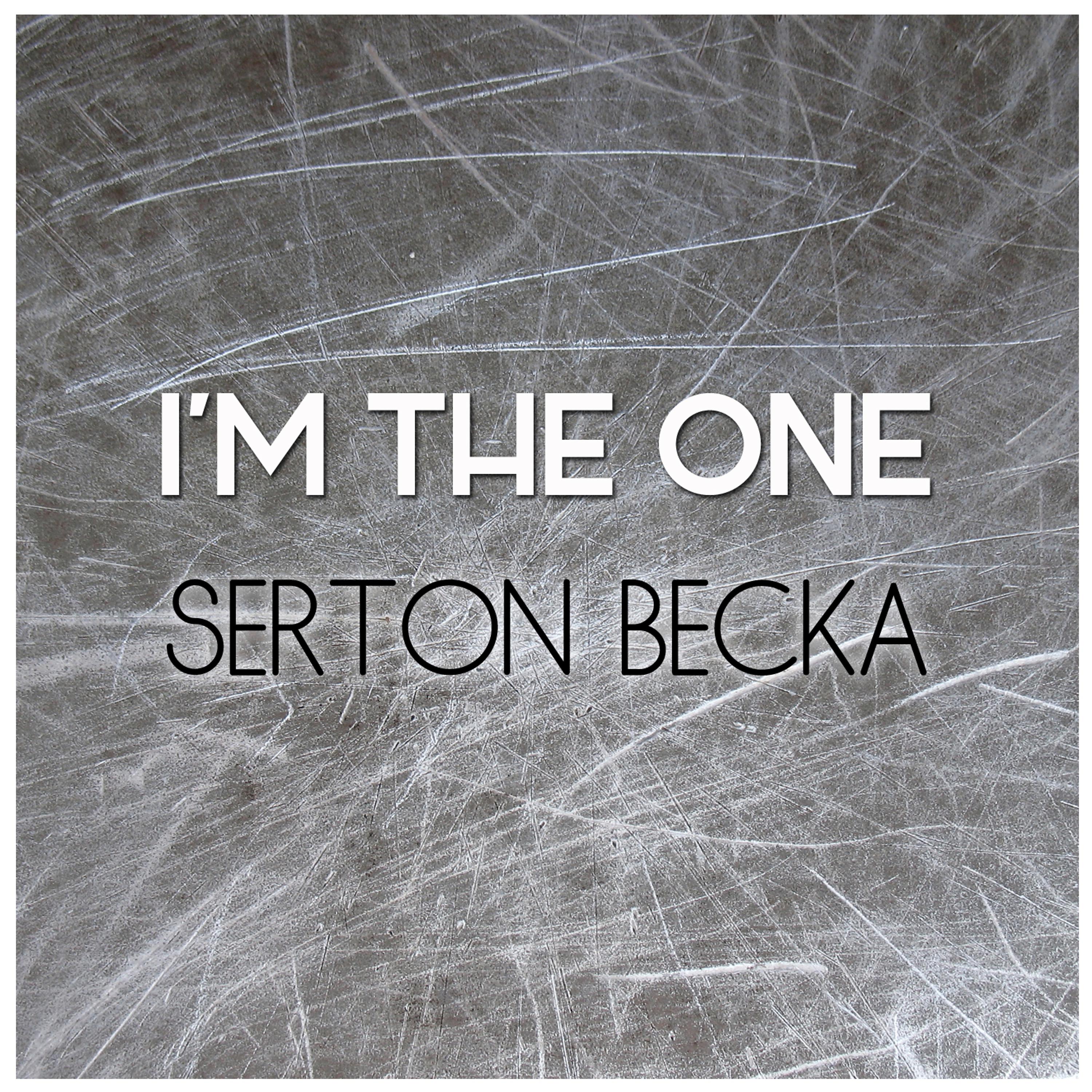 Serton Becka - We Found Love in a Hopeless Place (Dance Remix)
