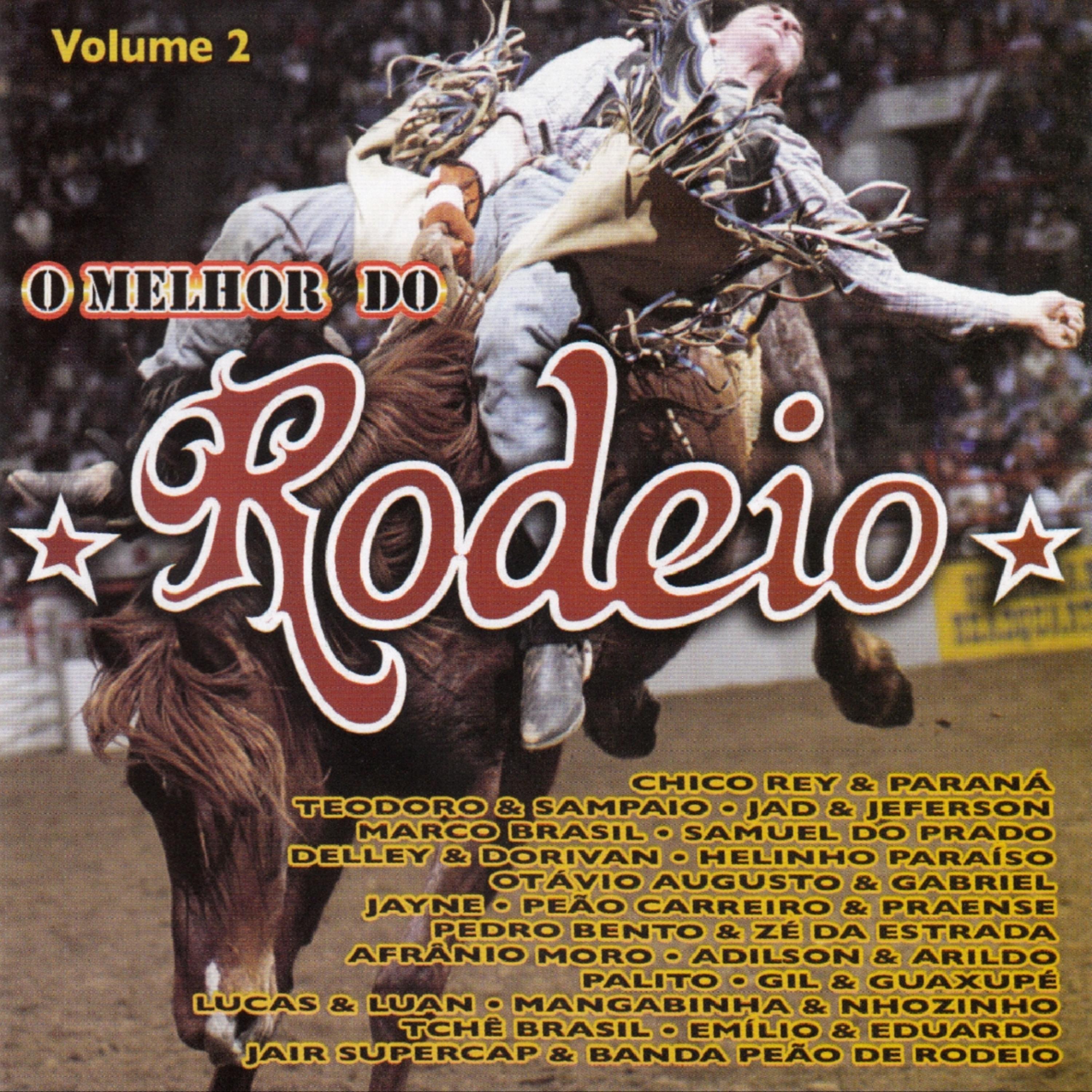 Постер альбома O Melhor do Rodeio - Vol 2