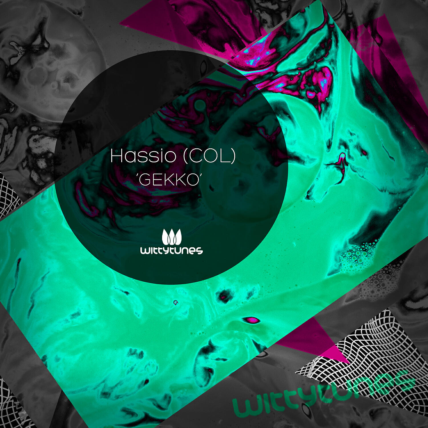 HASSIO (COL) - Gekko