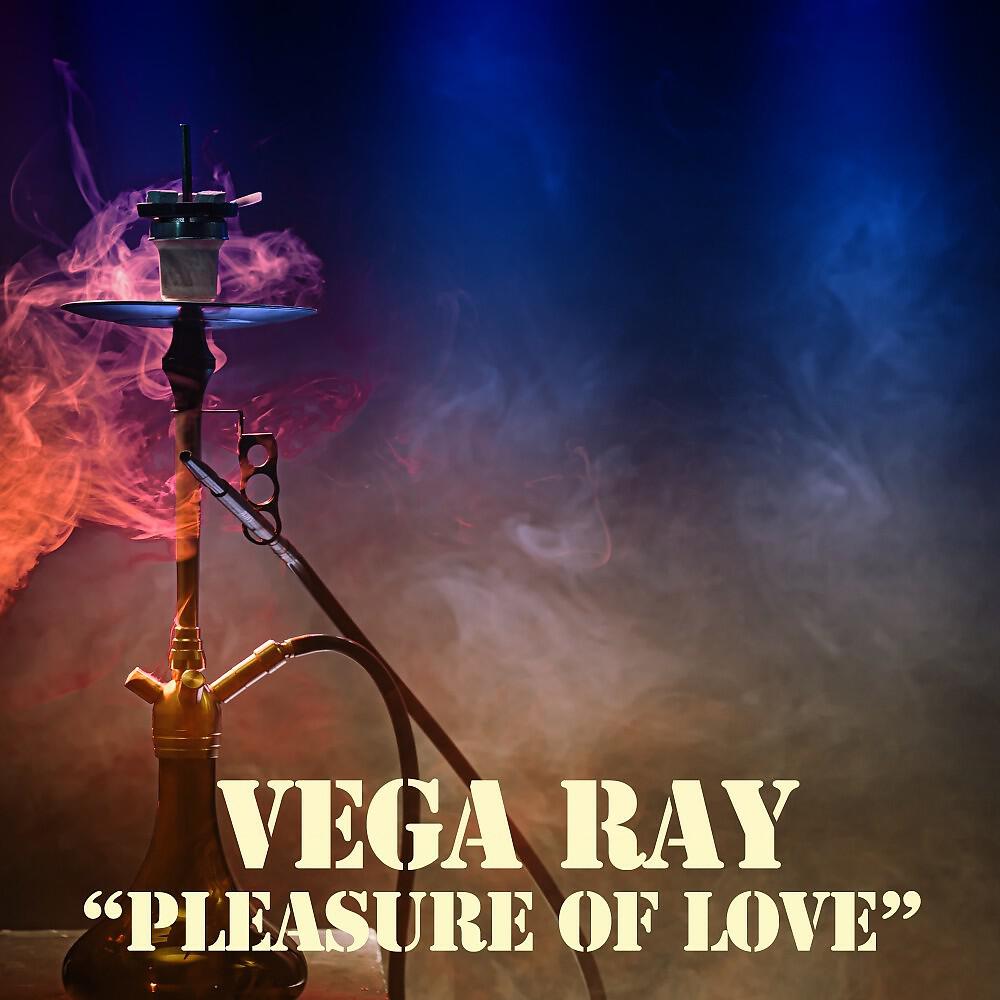 Vega Ray - A Life Spent Making Mistakes