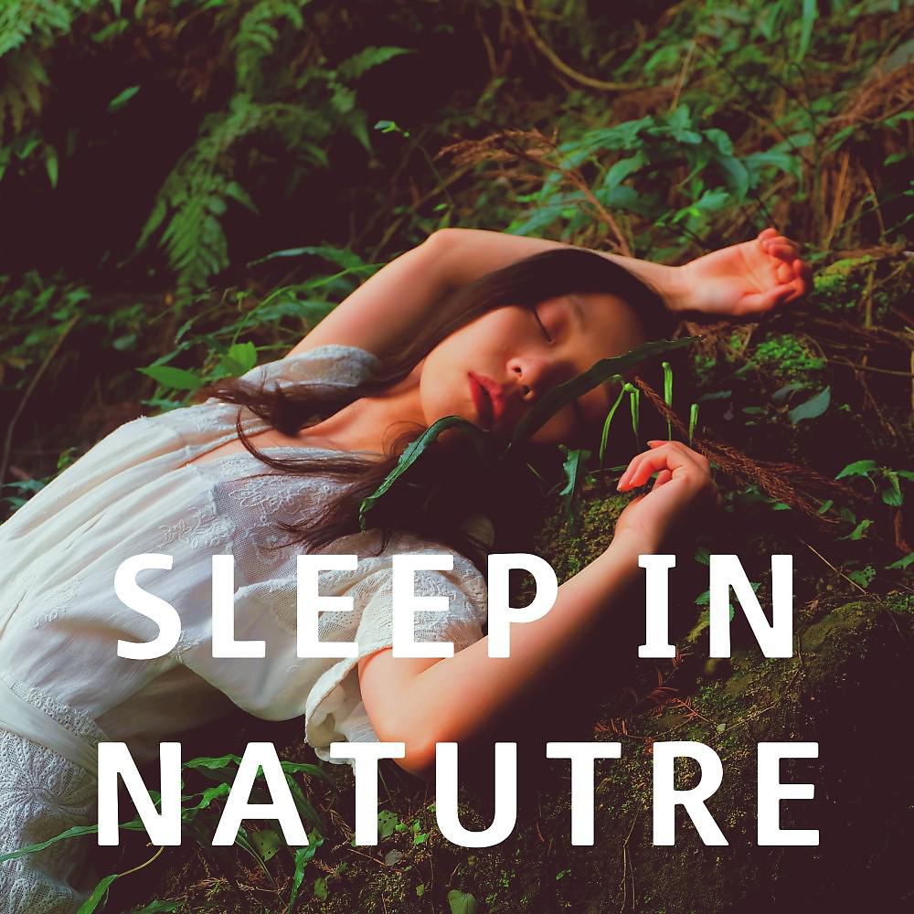 Постер альбома Sleep in Nature - Piano Music